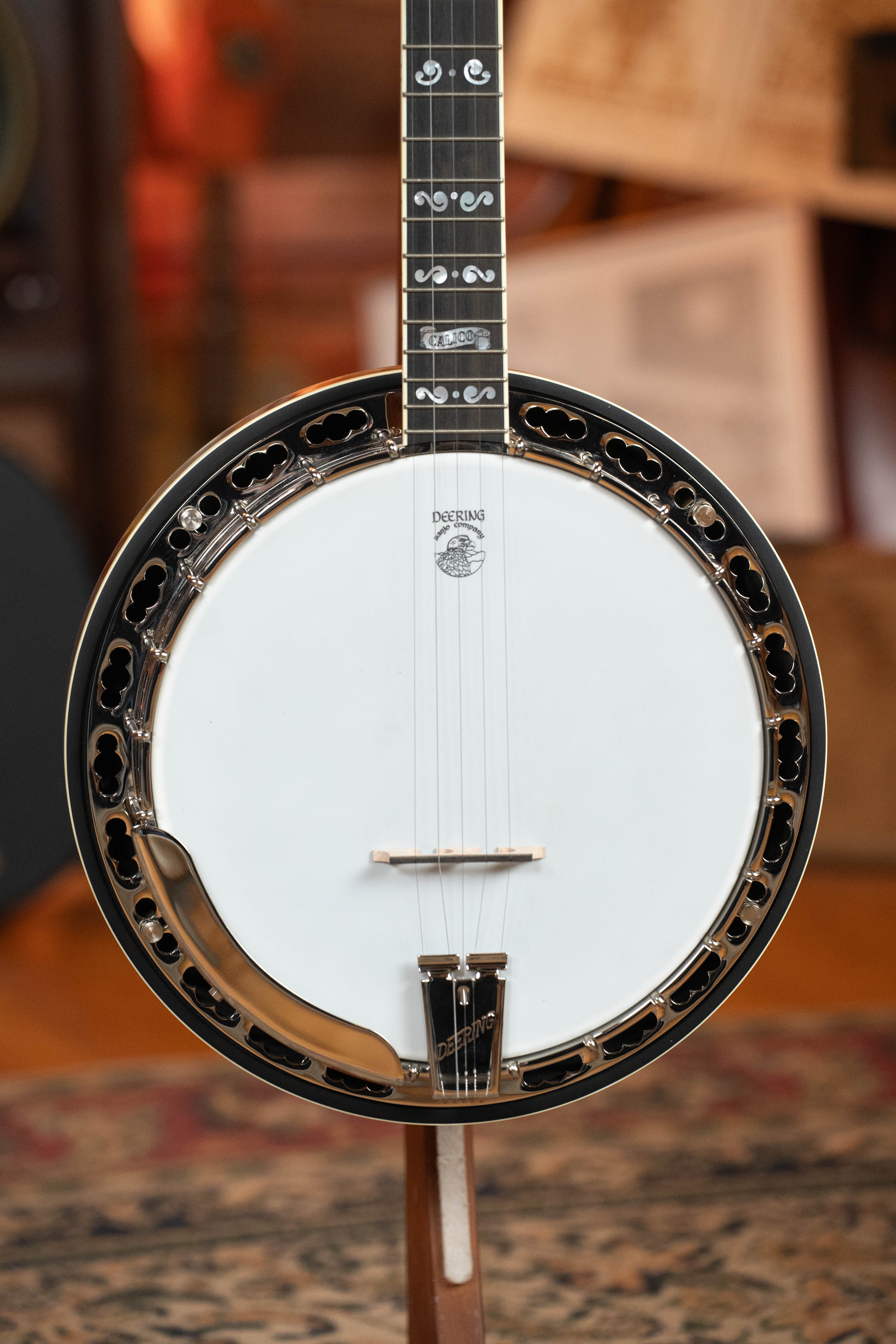 Deering Calico 5 String Curly Maple Resonator Banjo w/Spikes Installed #AX45