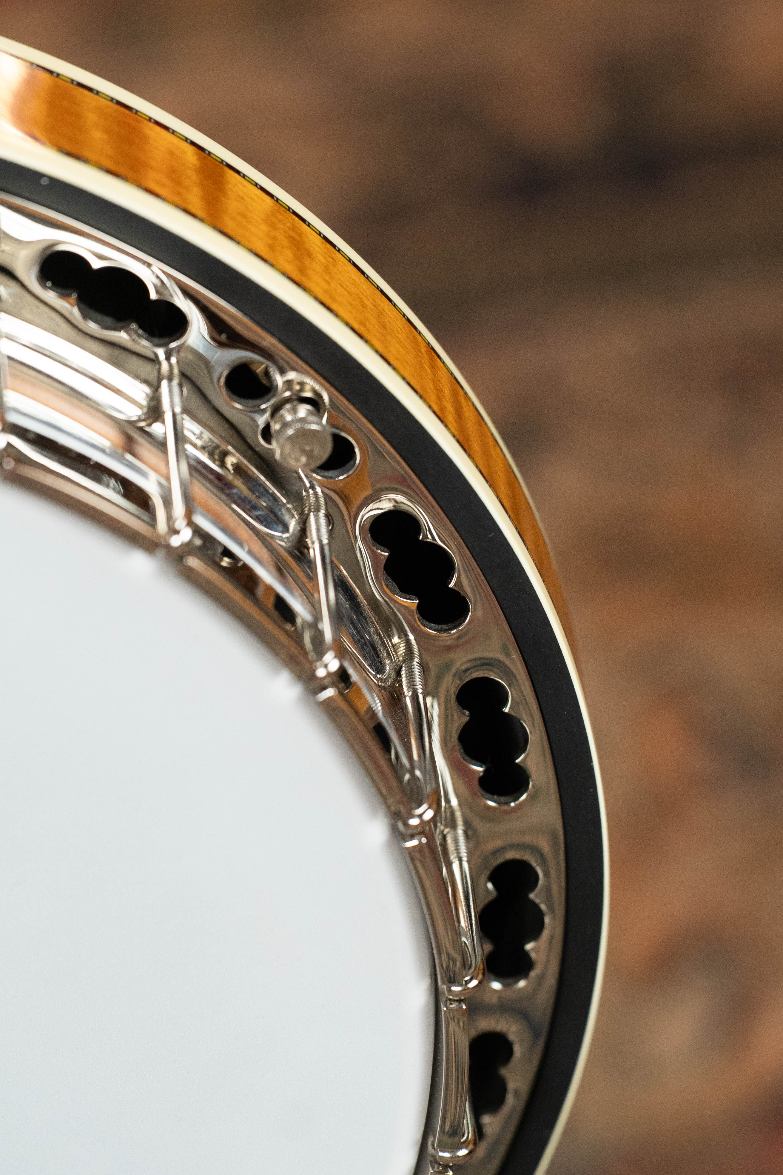 Deering Calico 5 String Curly Maple Resonator Banjo w/Spikes Installed #AX45