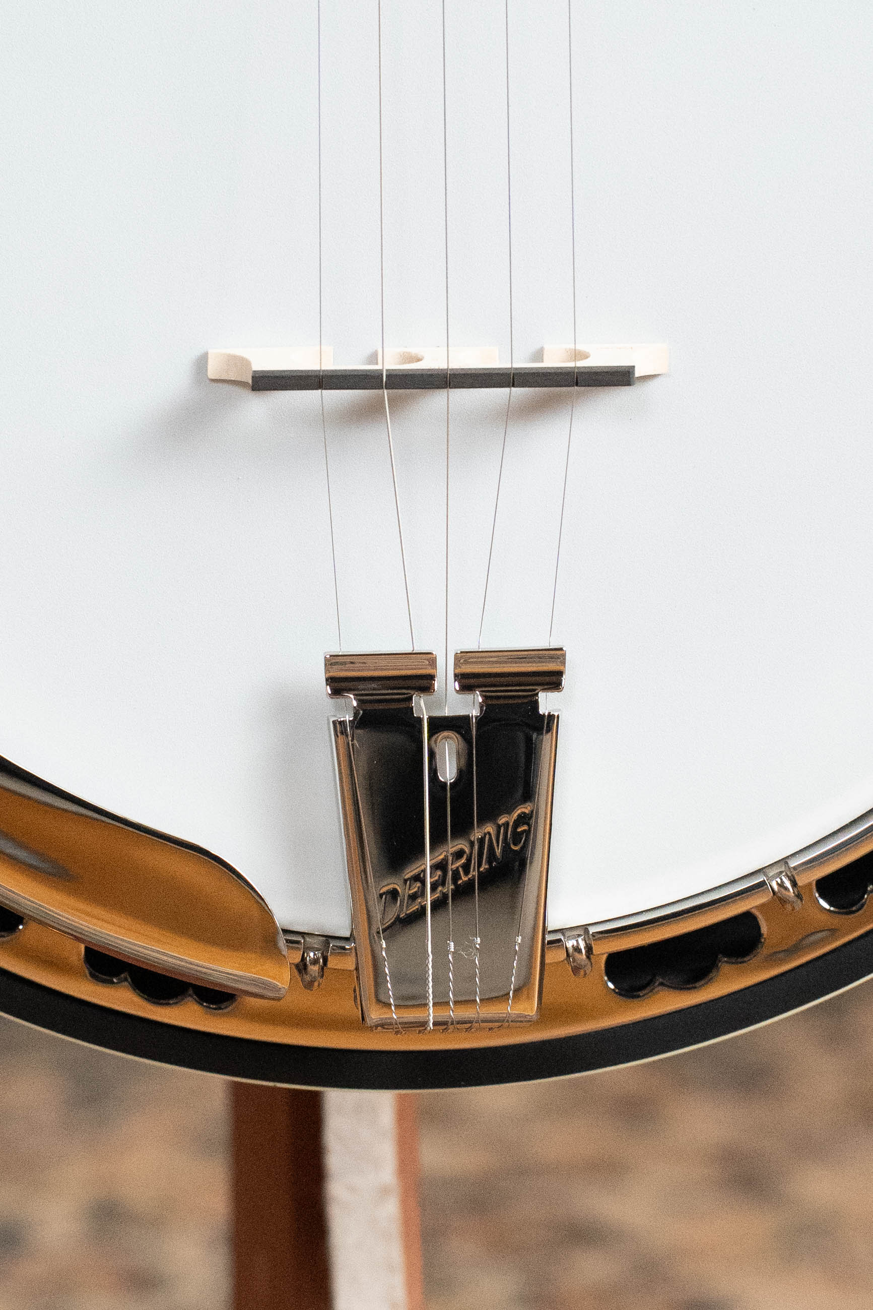 Deering Calico 5 String Curly Maple Resonator Banjo w/Spikes Installed #BC03