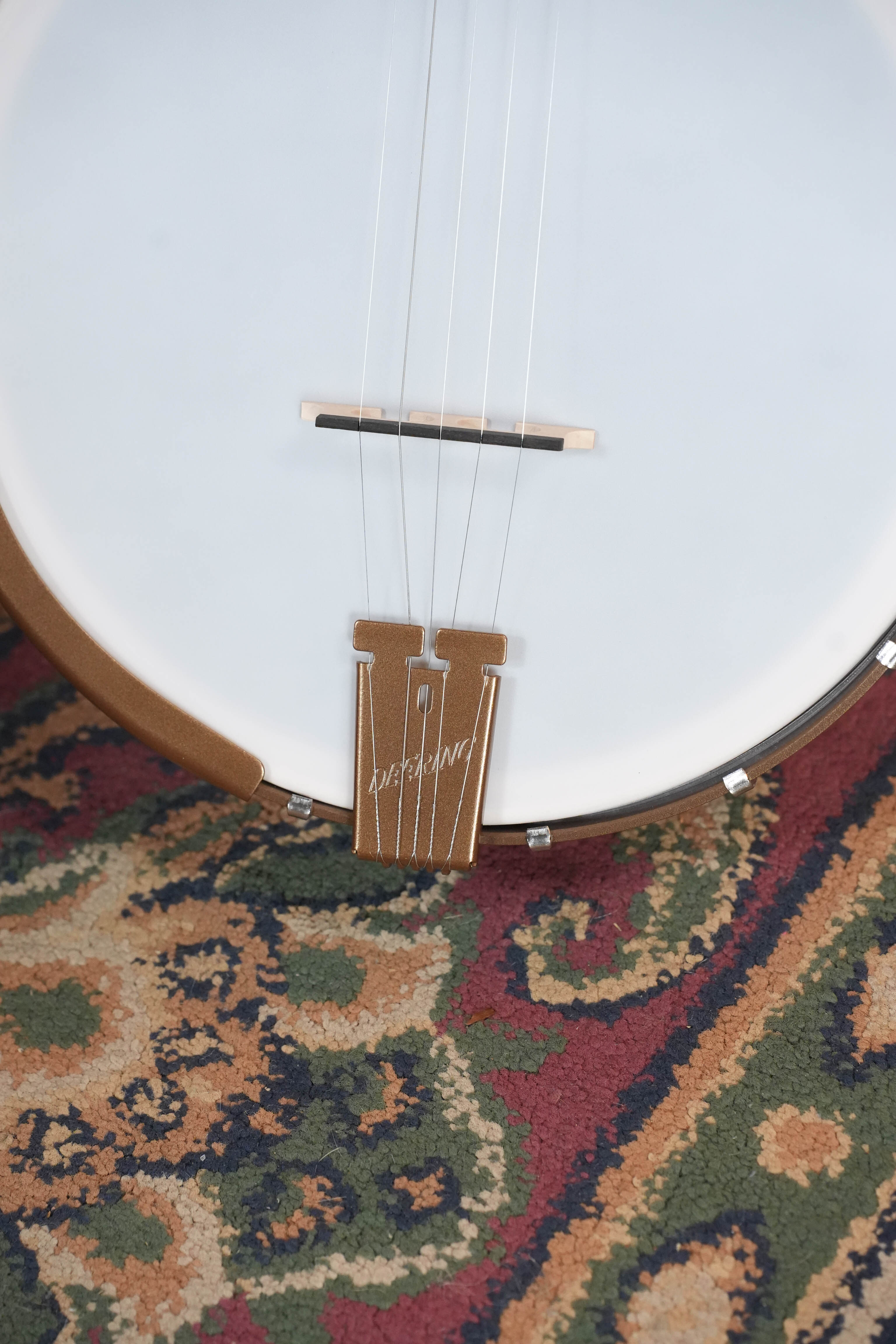 Deering Goodtime 5 String Open Back Banjo #2613