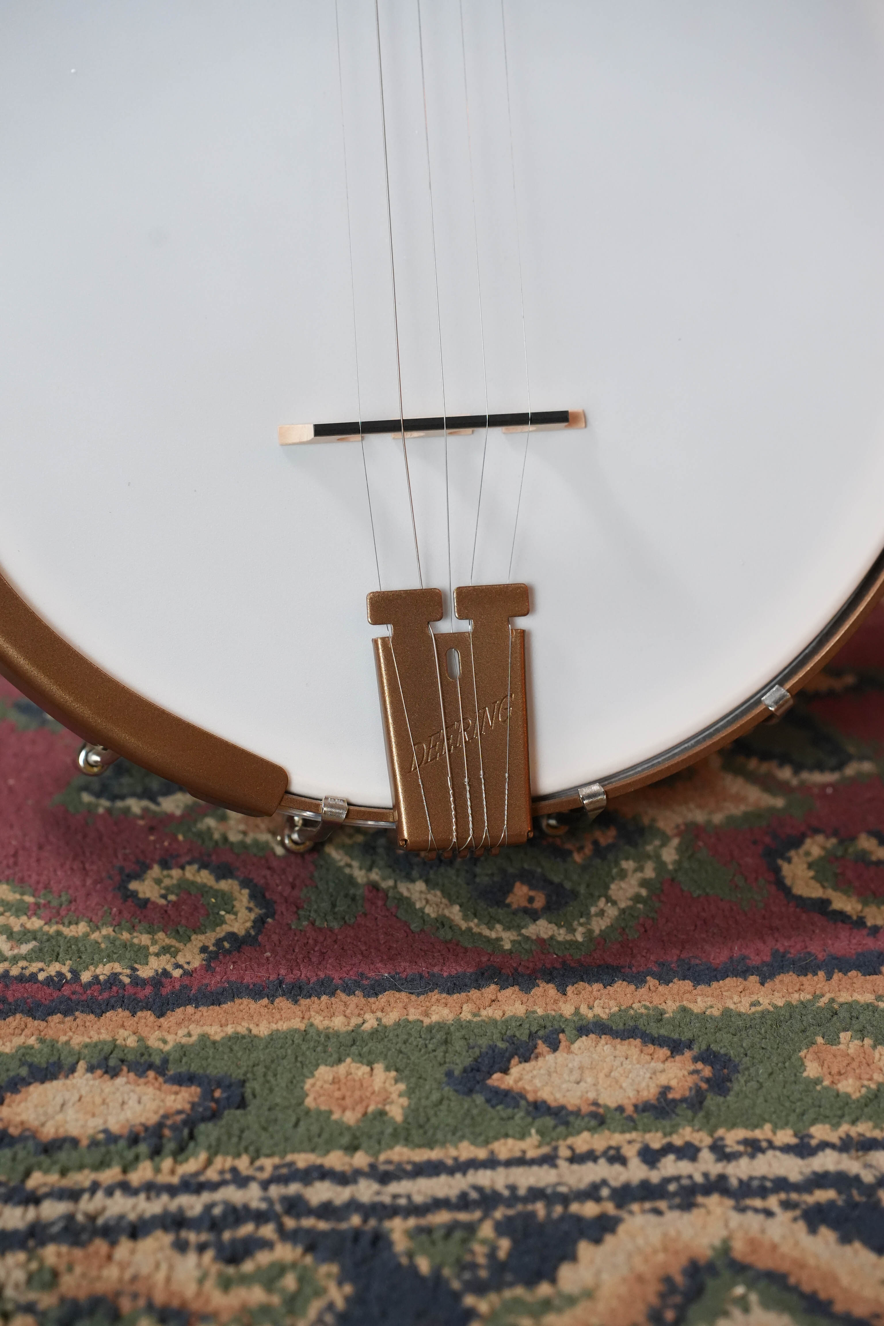 Deering Goodtime Parlor 5-String Banjo #2618