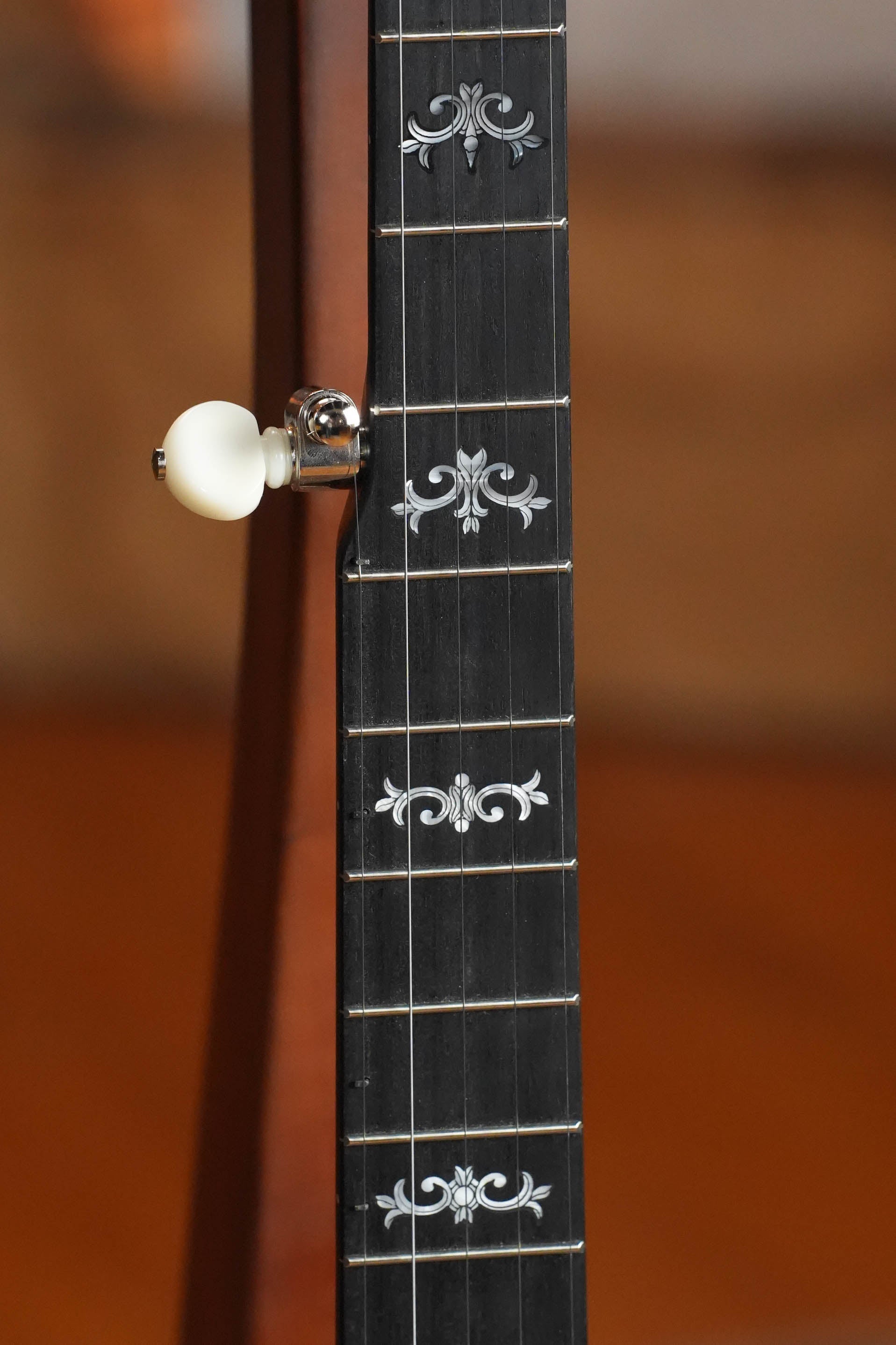 Deering Sierra 5 String Mahogany Banjo #BE20