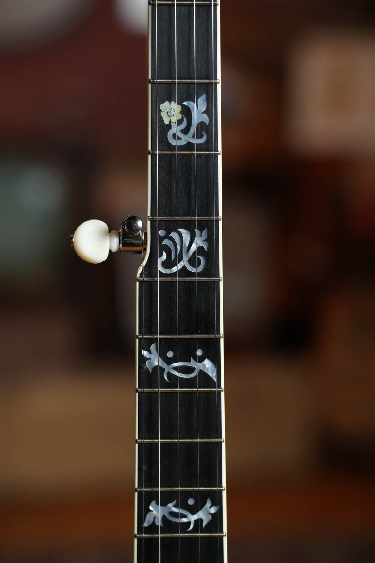 Deering Tenbrooks Saratoga Star 5 String Resonator Banjo w/Spikes Installed #0558