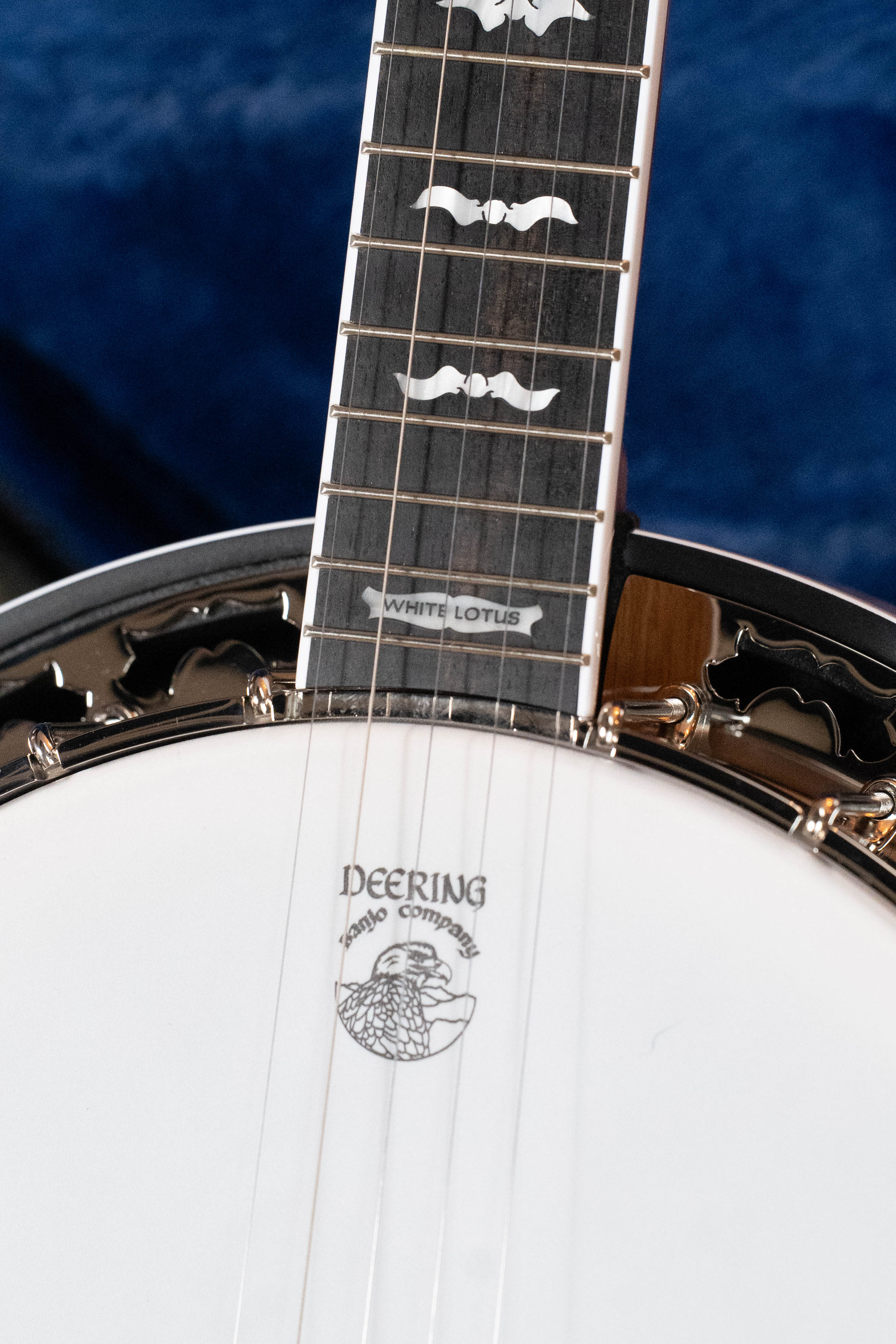 Deering White Lotus 5-String Resonator Banjo w/Spikes Installed #BB44