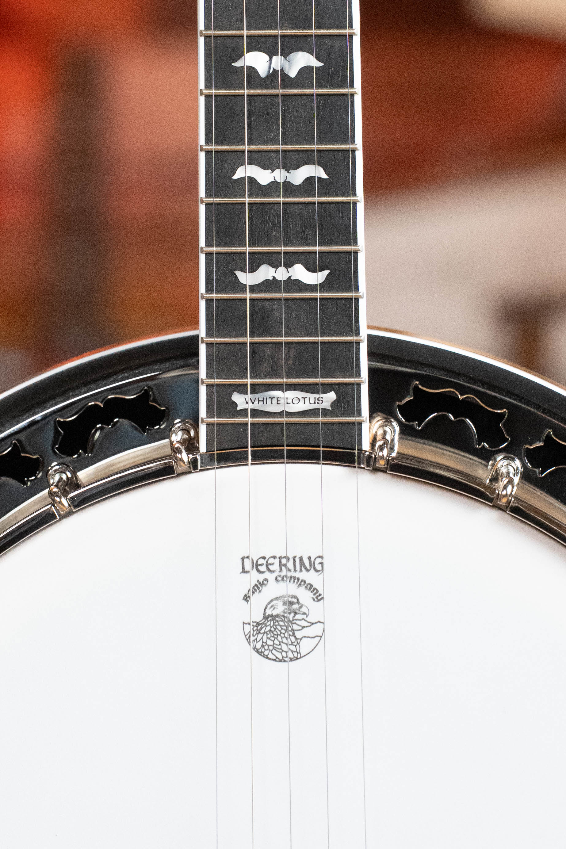 Deering White Lotus 5-String Resonator Banjo w/Spikes Installed #BB89