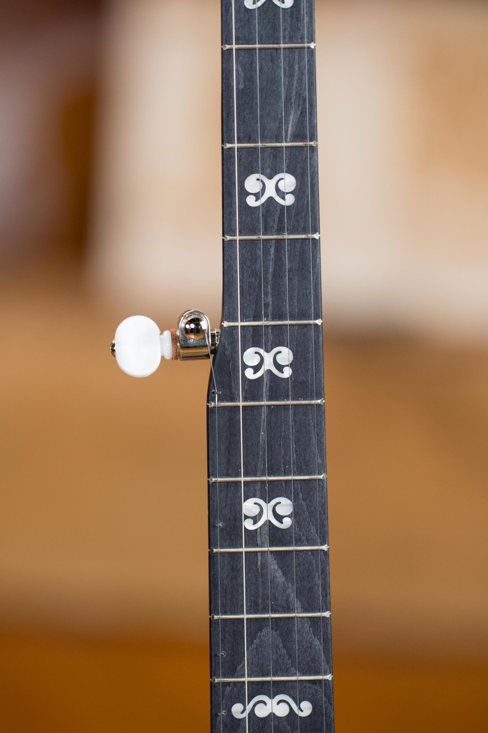 Deering Artisan Goodtime 5-String Openback Banjo #6251
