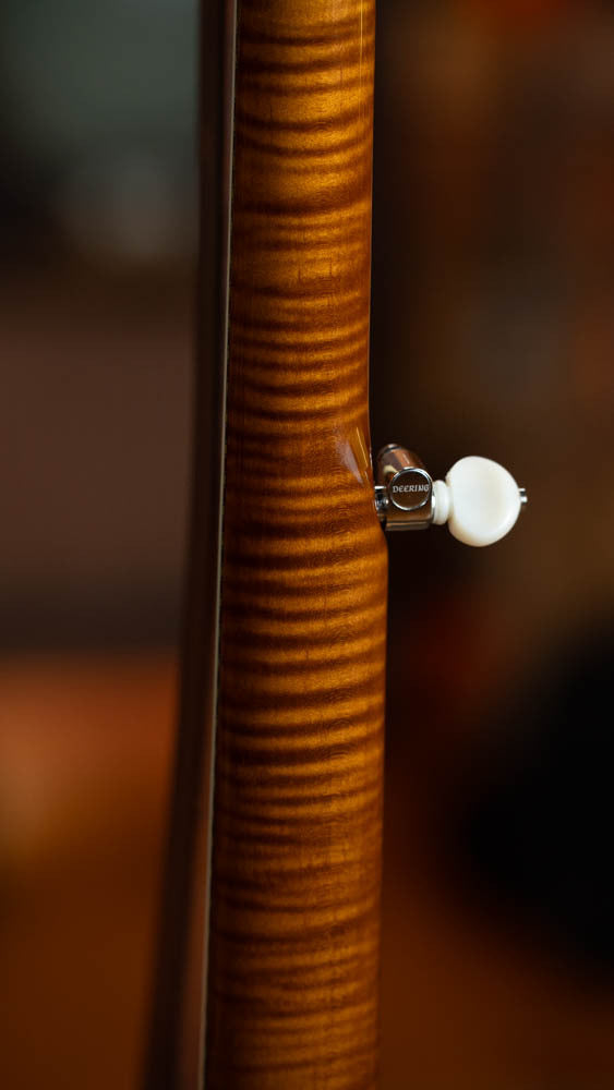 Deering Calico 5 String Curly Maple Resonator Banjo w/Spikes Installed #AX45