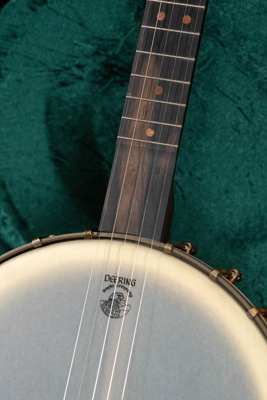 Close-up of a Deering Vega Vintage Star 5-String Openback Banjo w/Spikes #BB66 by Deering Banjos, highlighting fretboard, strings, and head with logo against a green background—showcasing its classic design and vintage tone.