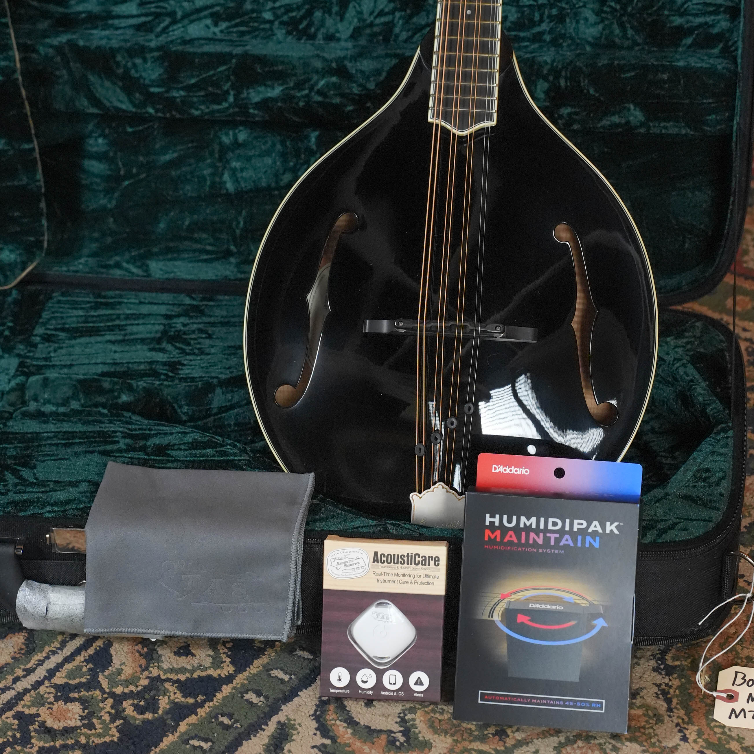 *Dread-Not Certified* Bourgeois M5-O-BT Aged Tone Adirondack/European Curly Maple Black Octave Mandolin #2108