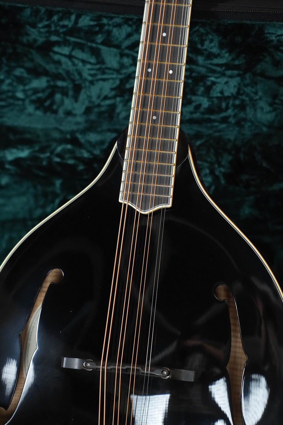 Close-up of the Bourgeois *Dread-Not Certified* M5-O-BT Black Octave Mandolin #2108, featuring f-holes, gold trim, and European curly maple, set against a dark green textured background.