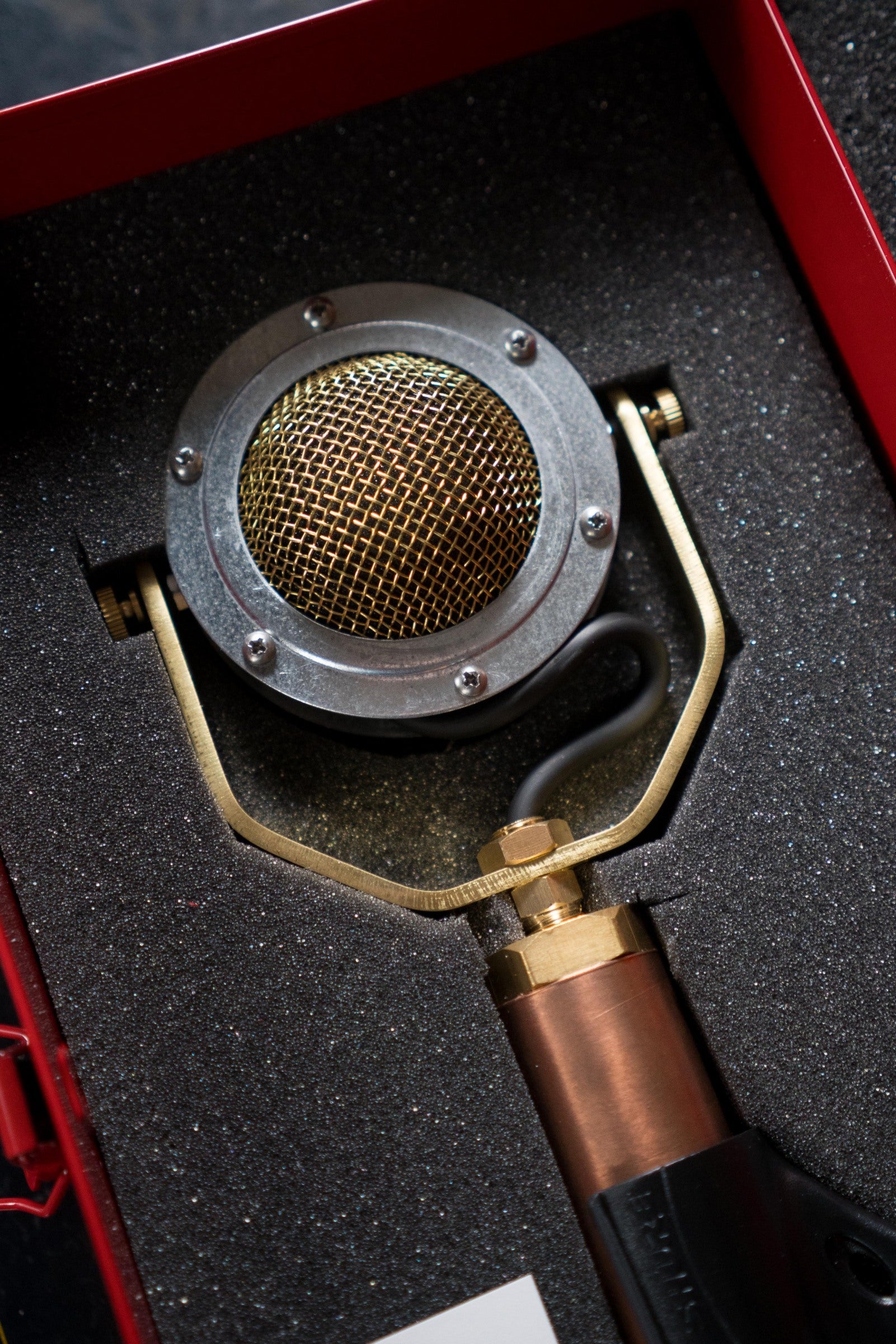 Ear Trumpet Labs Delphina Microphone