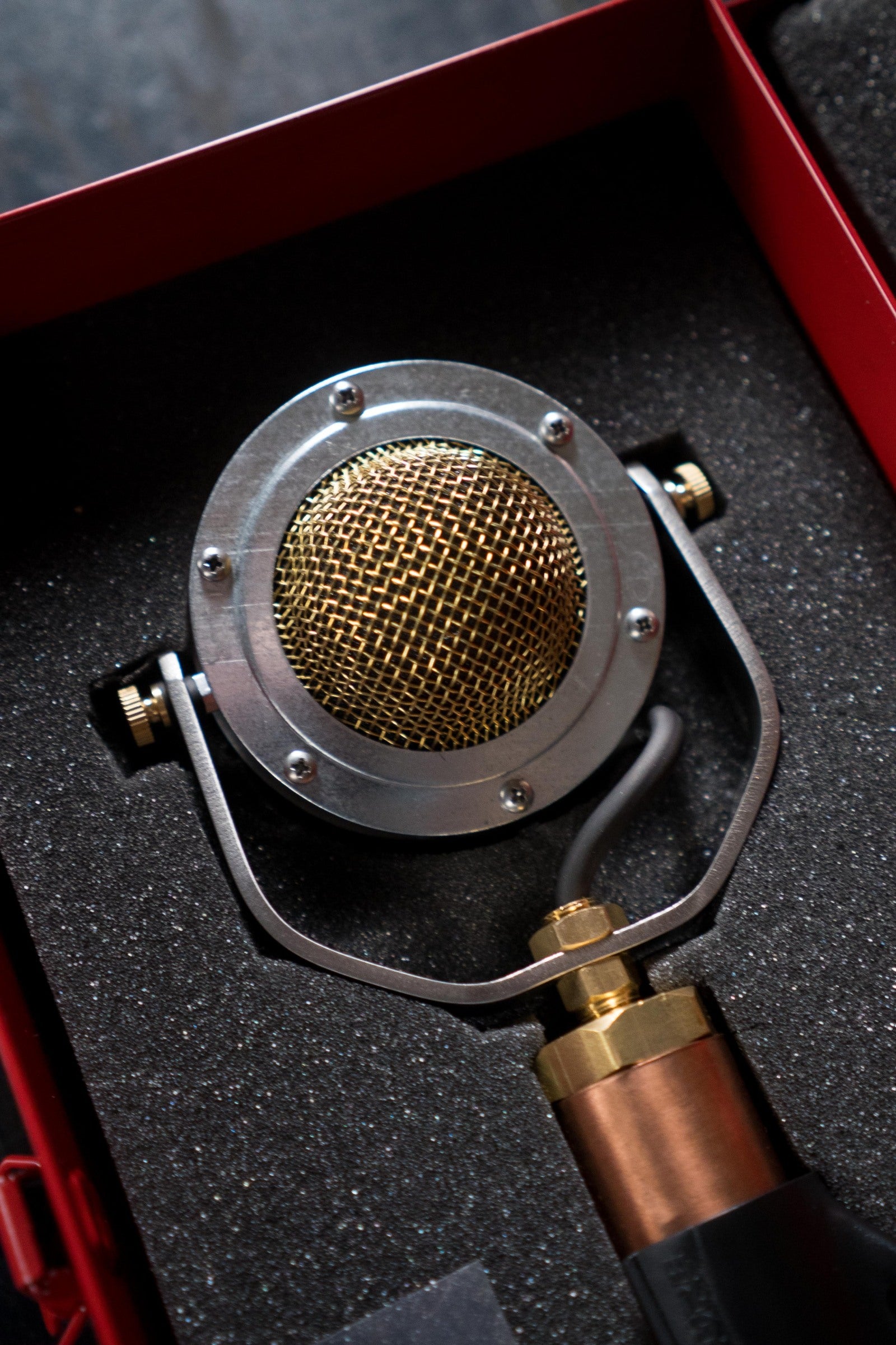 Ear Trumpet Labs Edwina Microphone