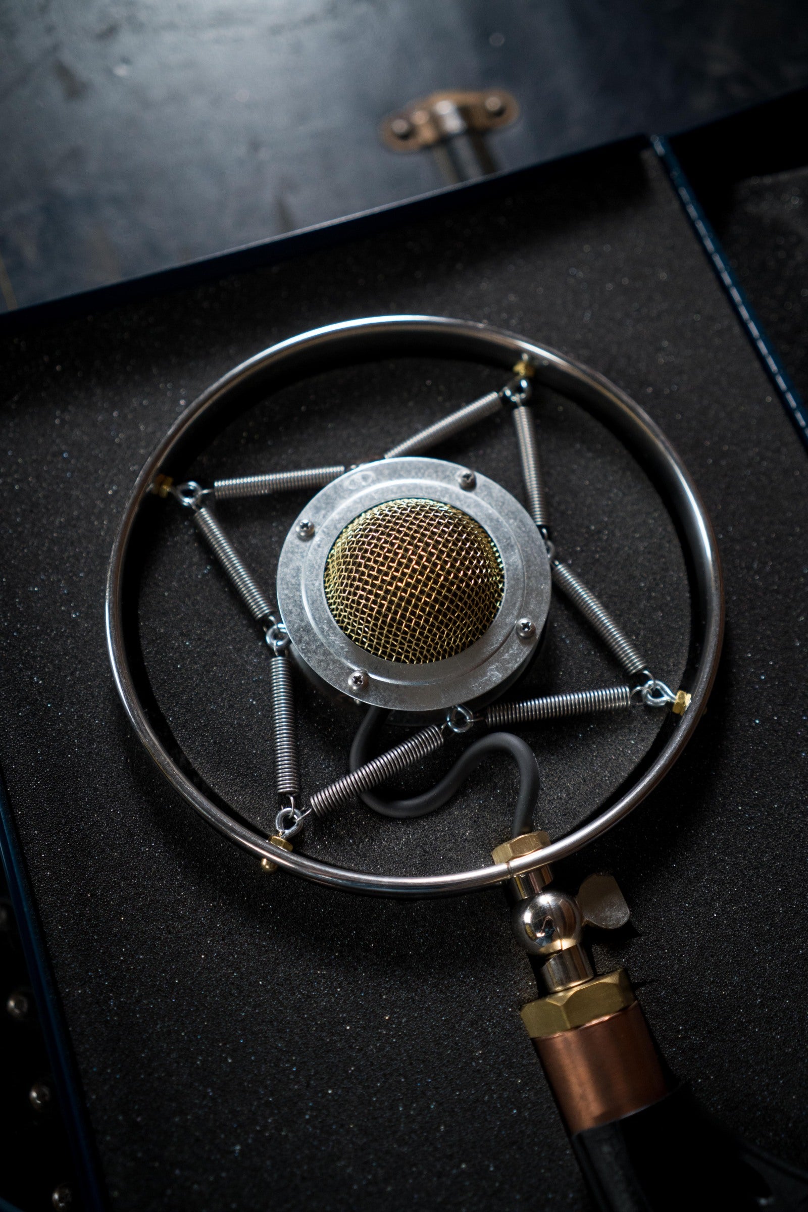 Ear Trumpet Labs Myrtle Microphone
