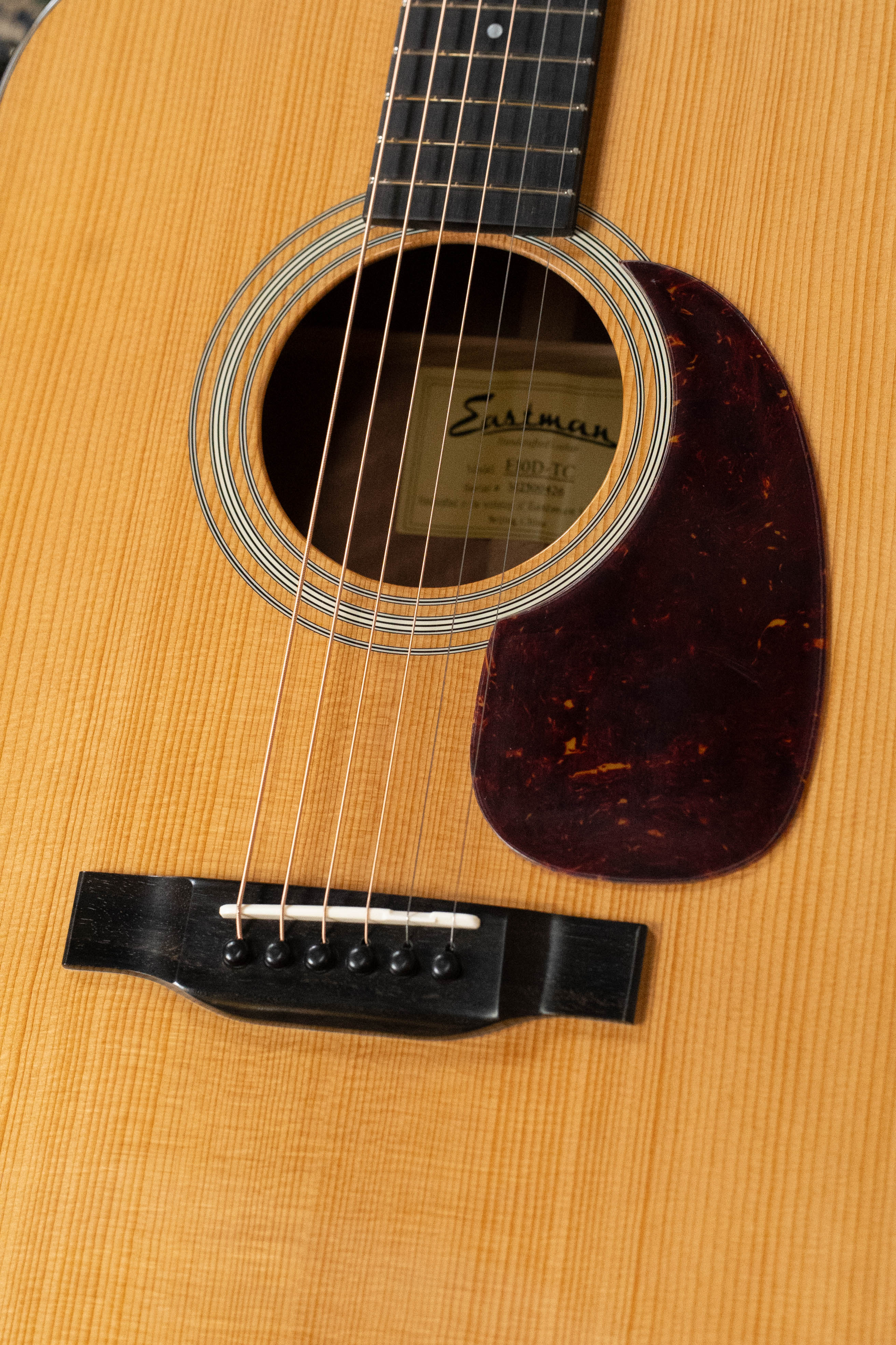 Eastman E10D-TC Thermo-Cured Adirondack Spruce/Mahogany Dreadnought Acoustic Guitar #0426