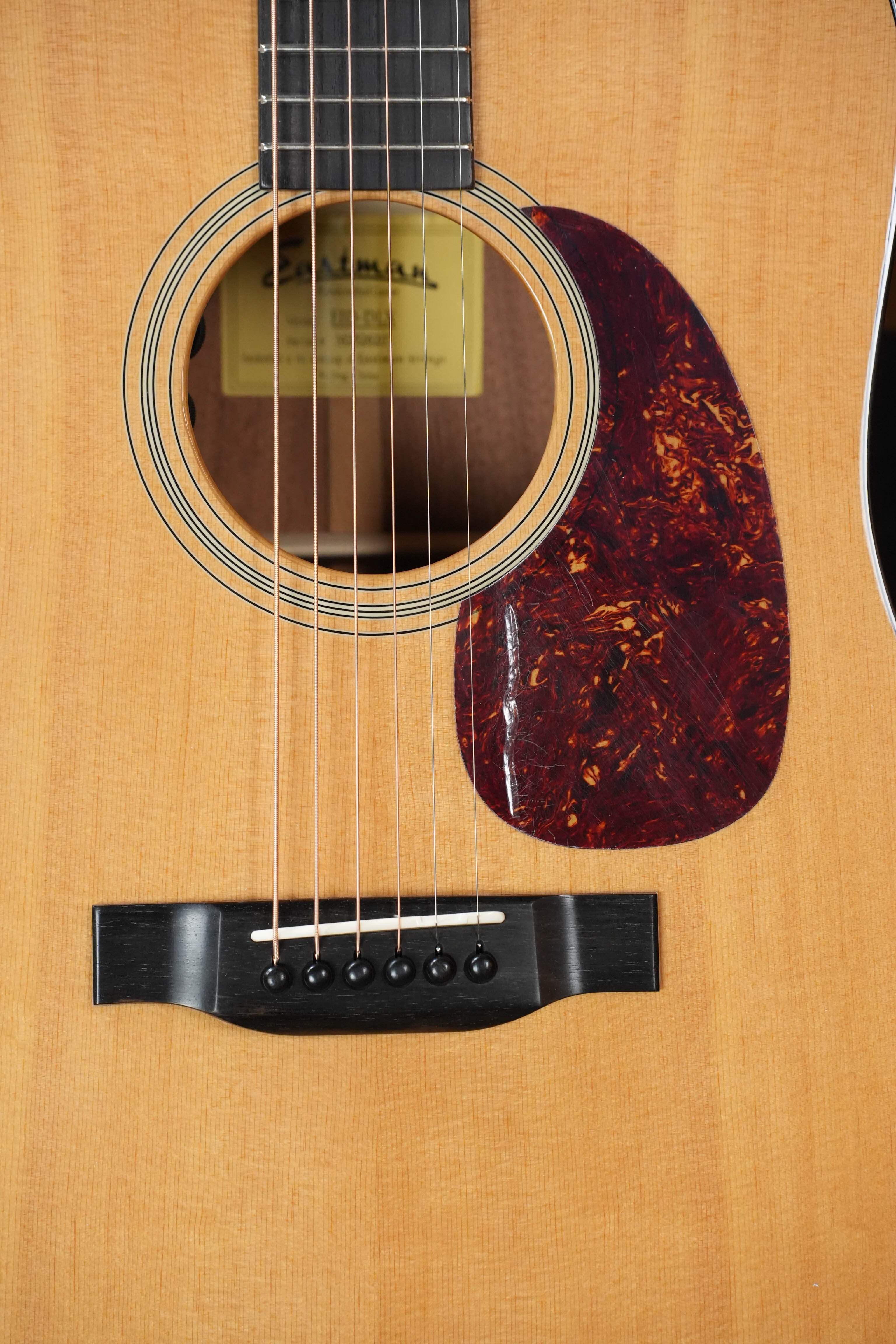 Eastman E1D-DLX Natural Gloss Dreadnought Acoustic Guitar w/Electronics #6217