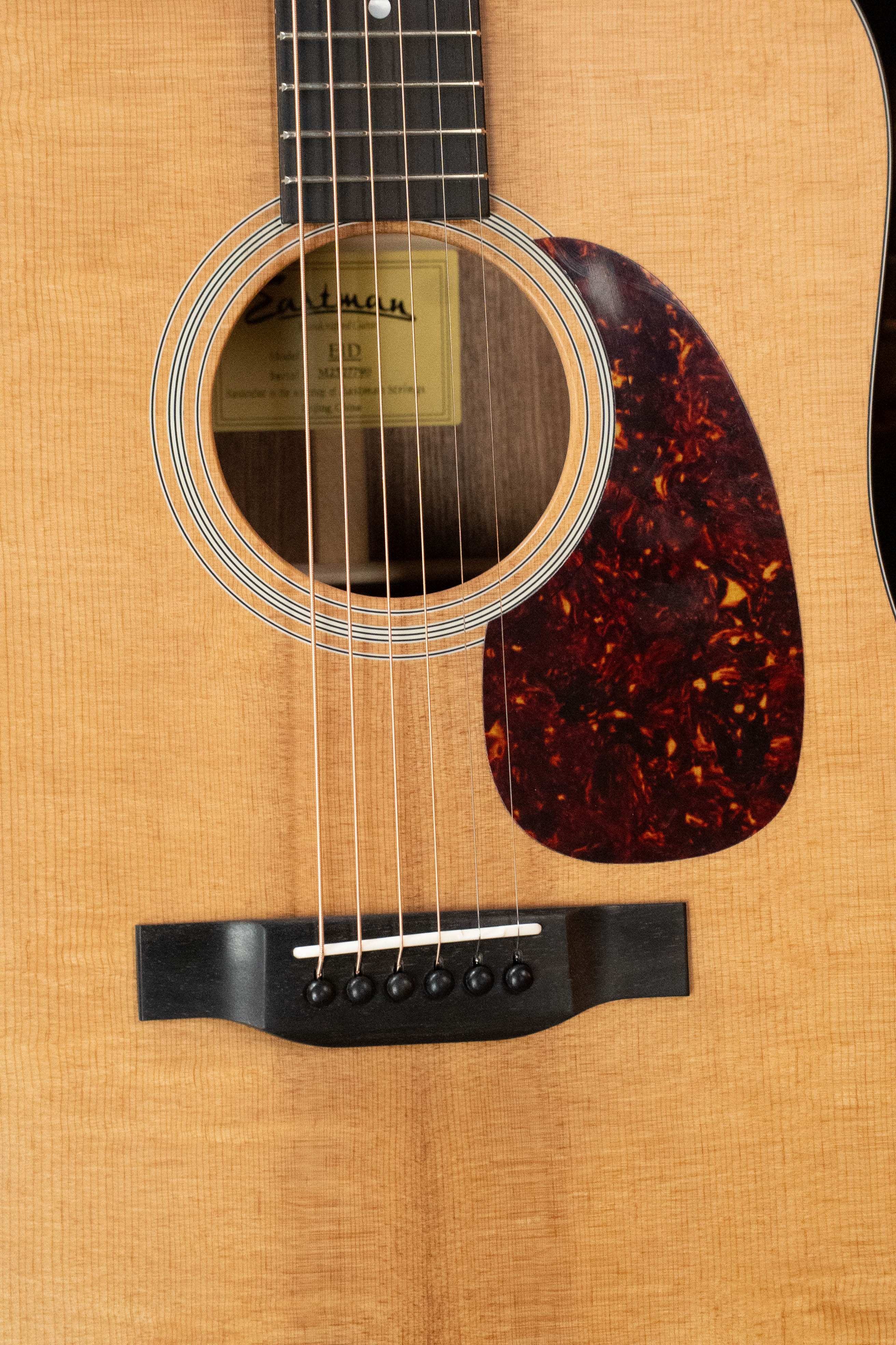 Eastman E1D Sitka/Sapele Dreadnought Acoustic Guitar #7790