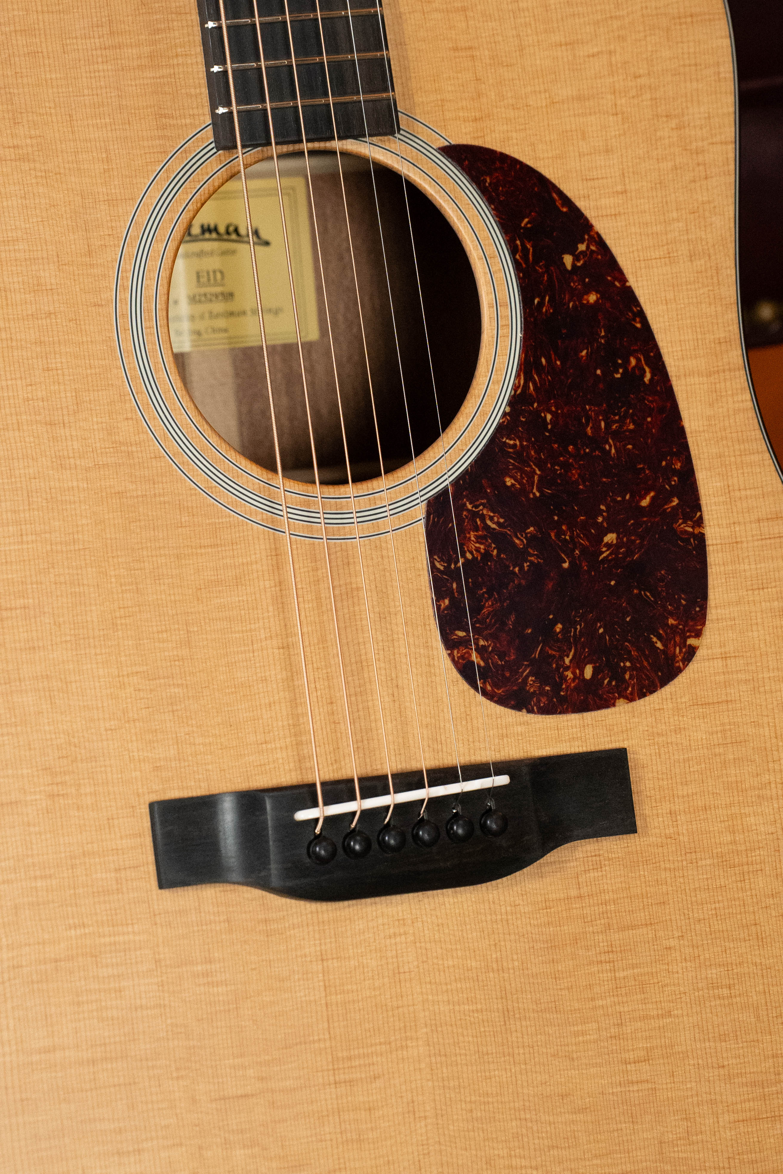 Eastman E1D Sitka/Sapele Dreadnought Acoustic Guitar #9508