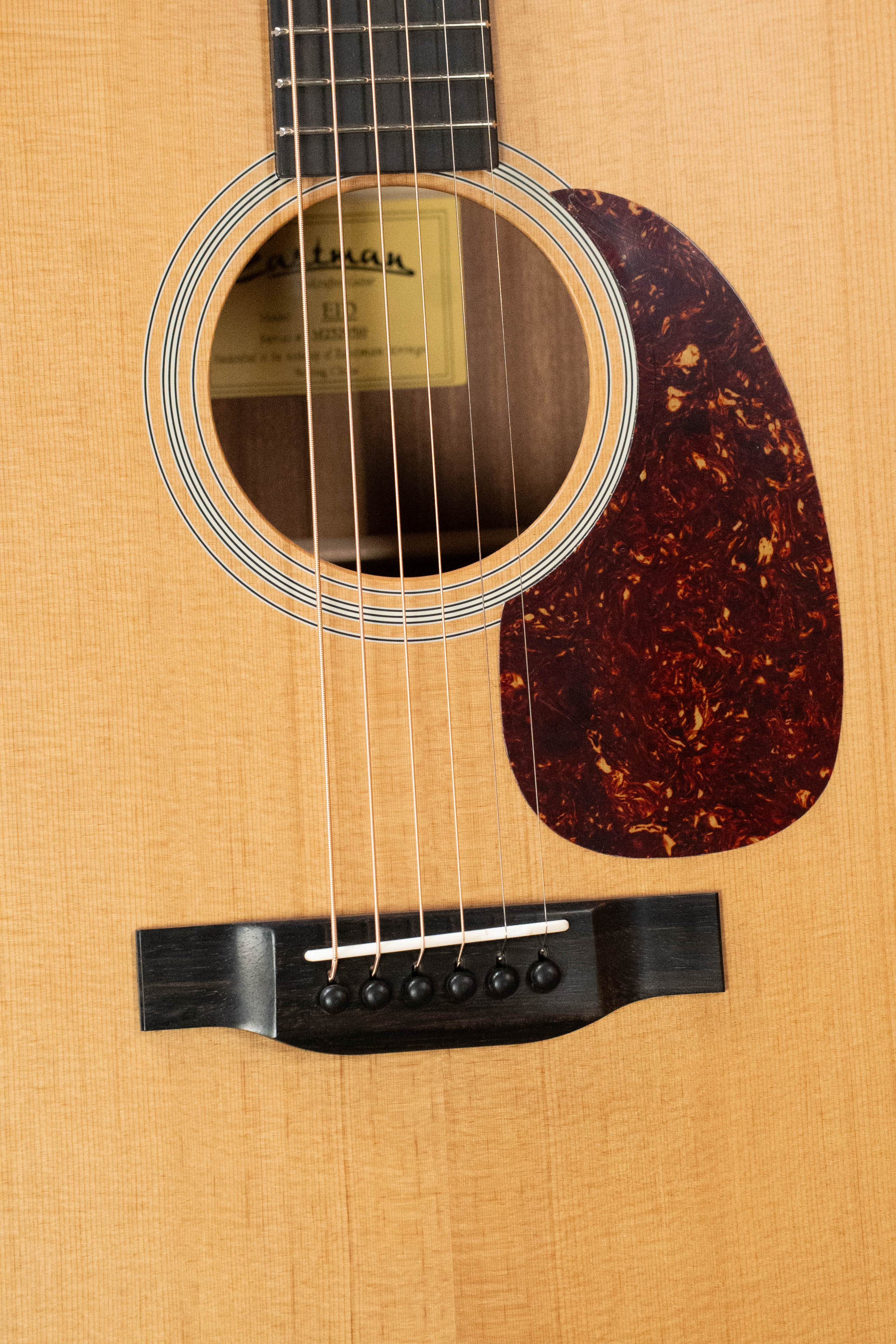 Eastman E1D Sitka/Sapele Dreadnought Acoustic Guitar #9510