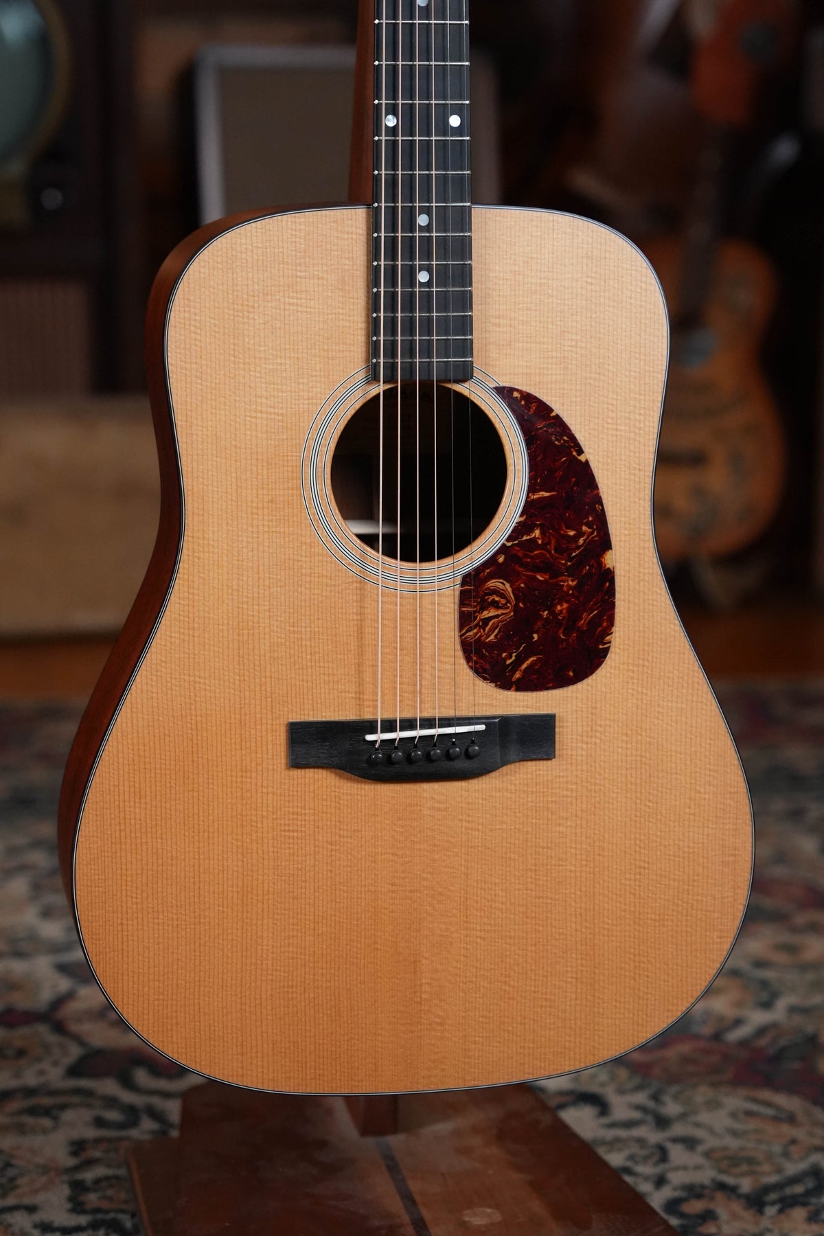 Eastman E1D Sitka/Sapele Dreadnought Acoustic Guitar #9728