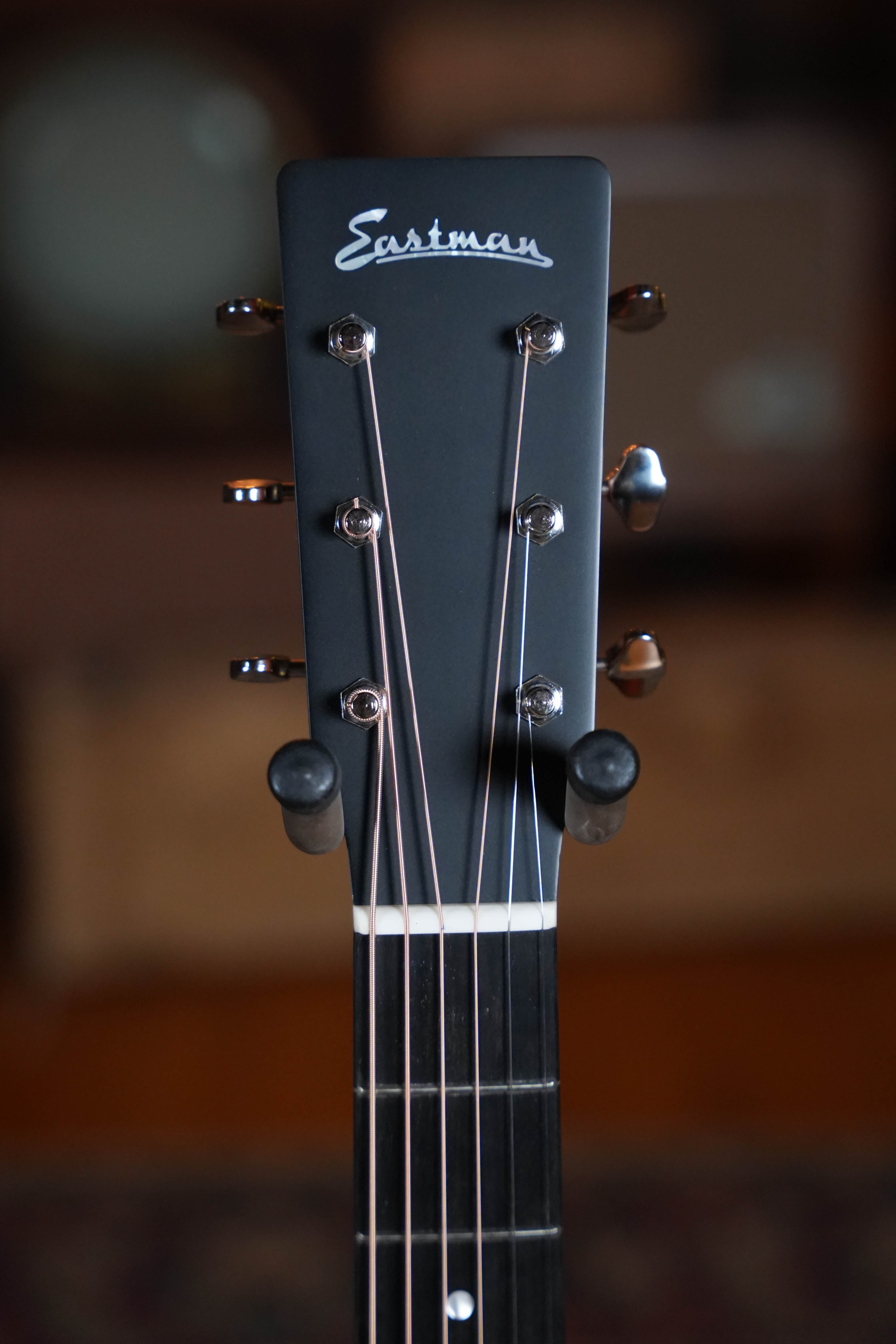 Eastman E1D Sitka/Sapele Dreadnought Acoustic Guitar #9728