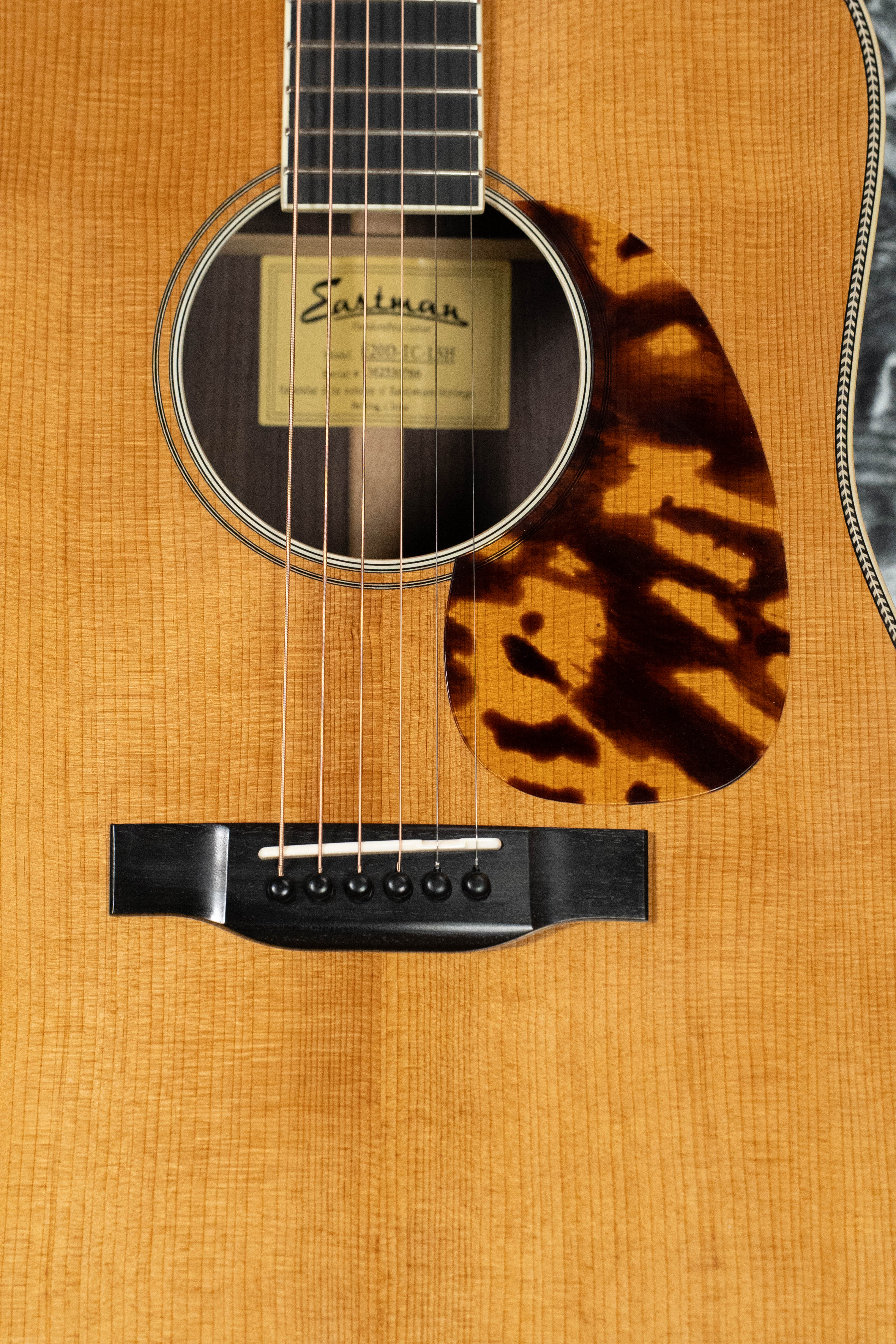 Eastman　エレアコ イーストマンによるエレアコ仕様のグランドオーディトリアム「PCH1