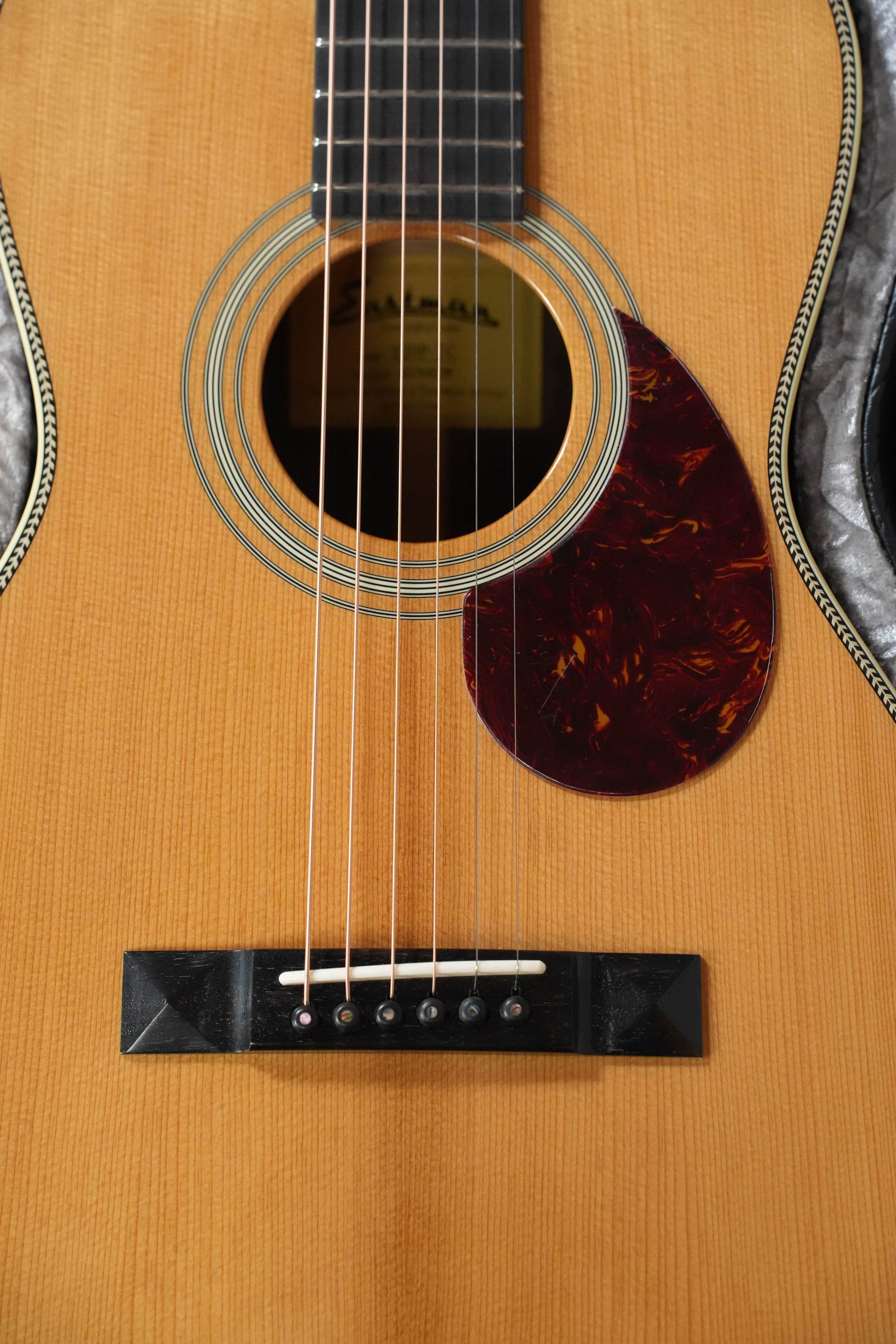 Eastman E20P Adirondack/Rosewood Thermo-Cured Parlor Acoustic Guitar #6758