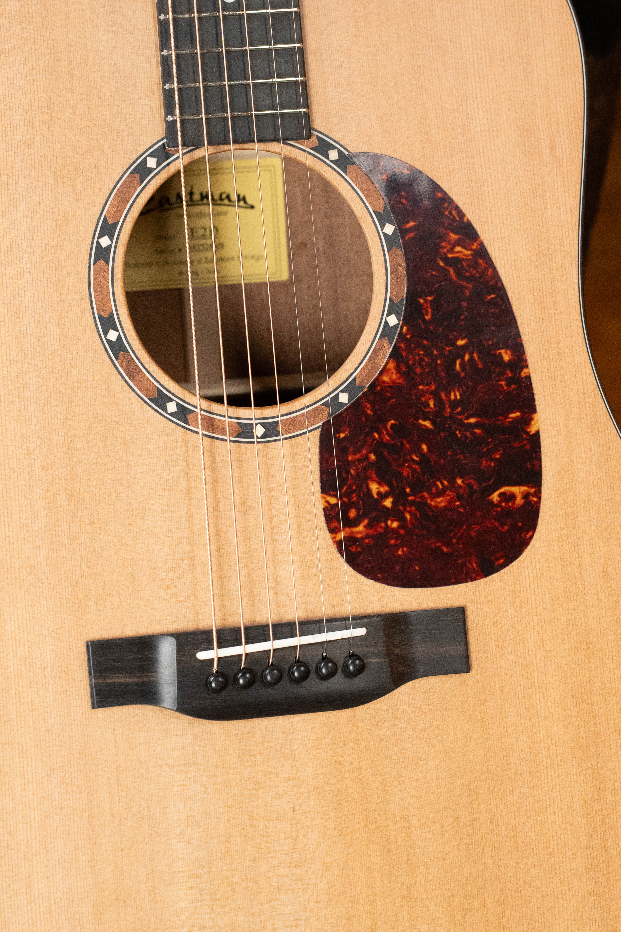 Eastman E2D Cedar/Sapele Dreadnought Acoustic Guitar #6419