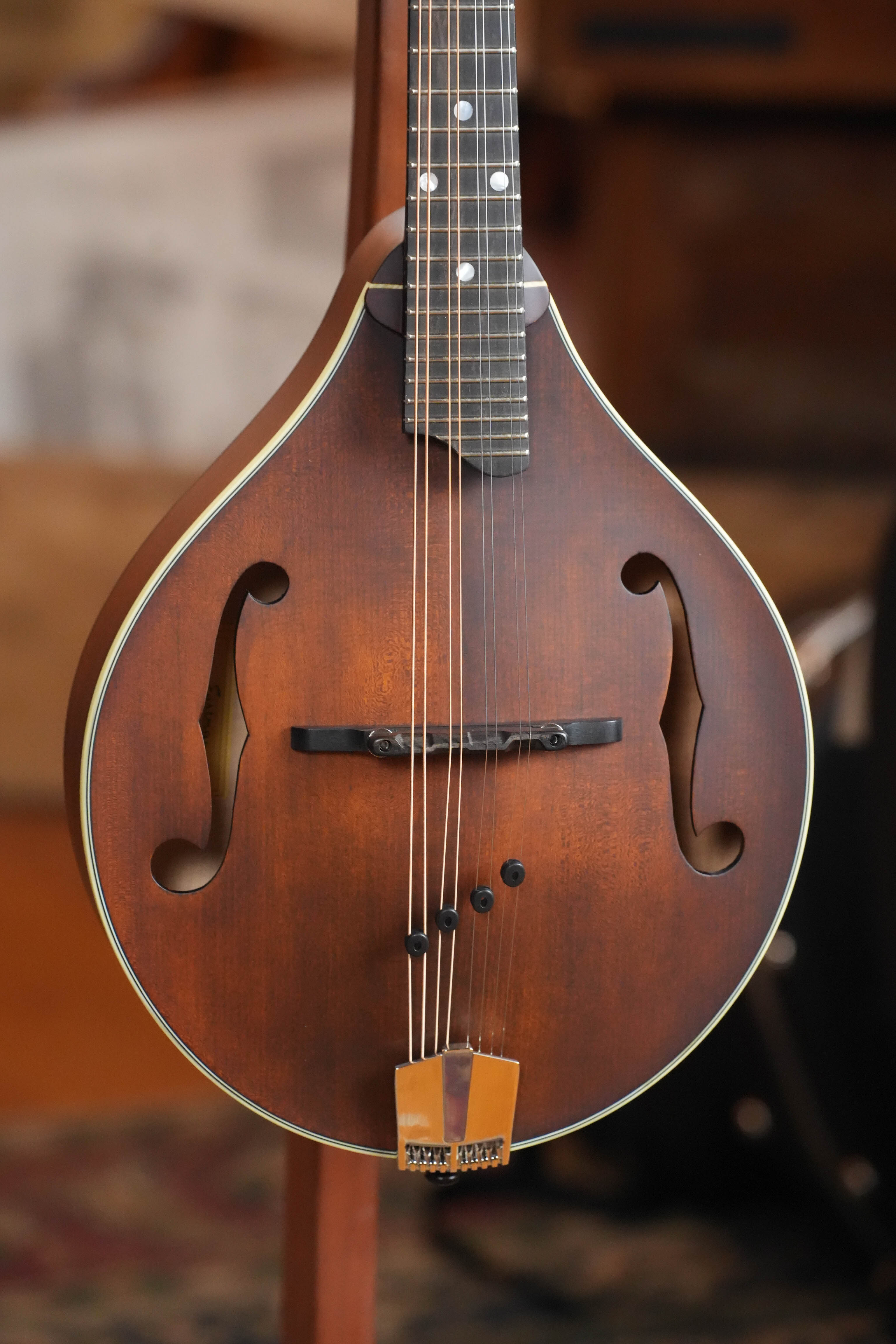 Eastman MD305 A-Style Hand-Carved Mandolin #4482