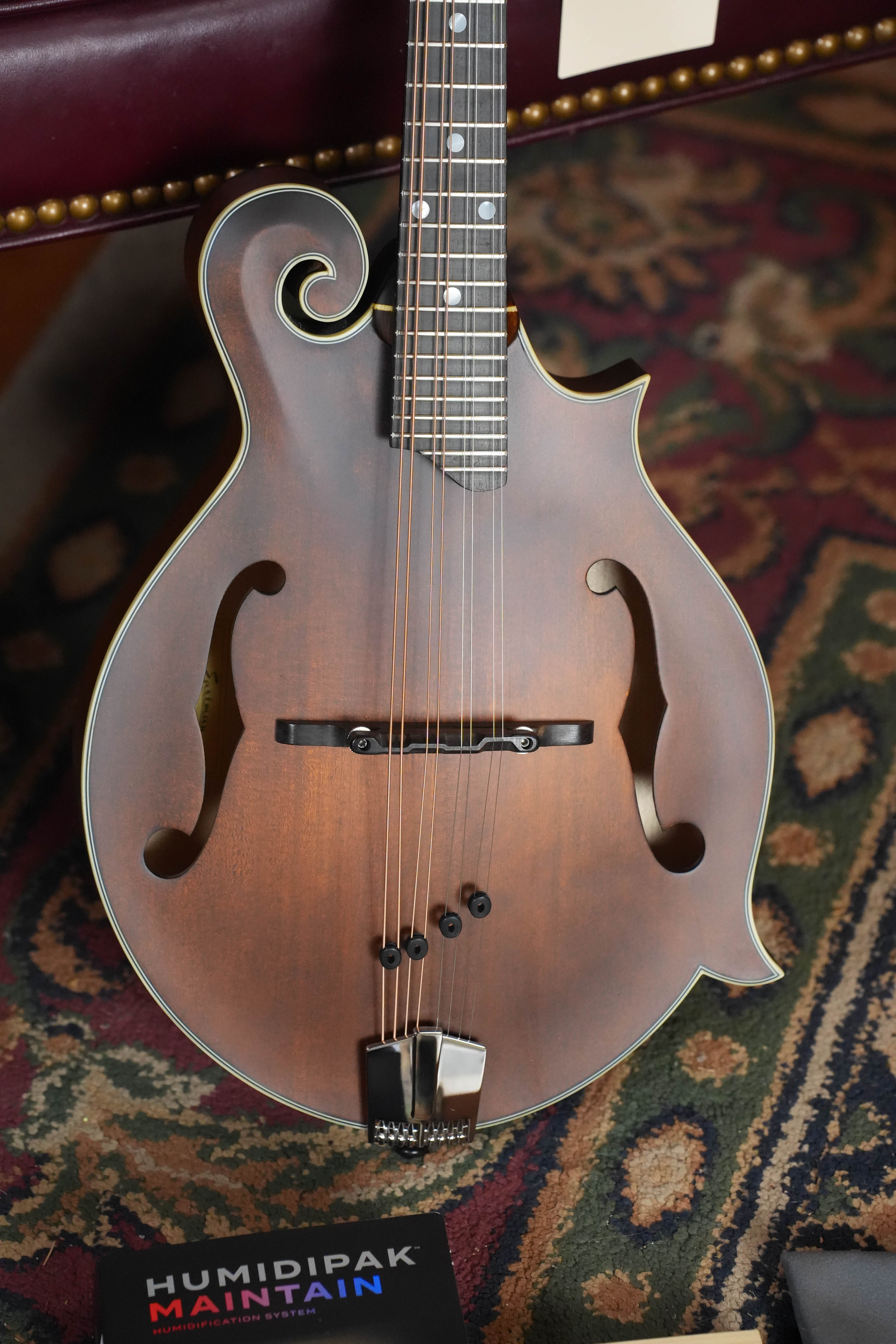 Eastman MD315 F-Style Hand-Carved Mandolin #0330