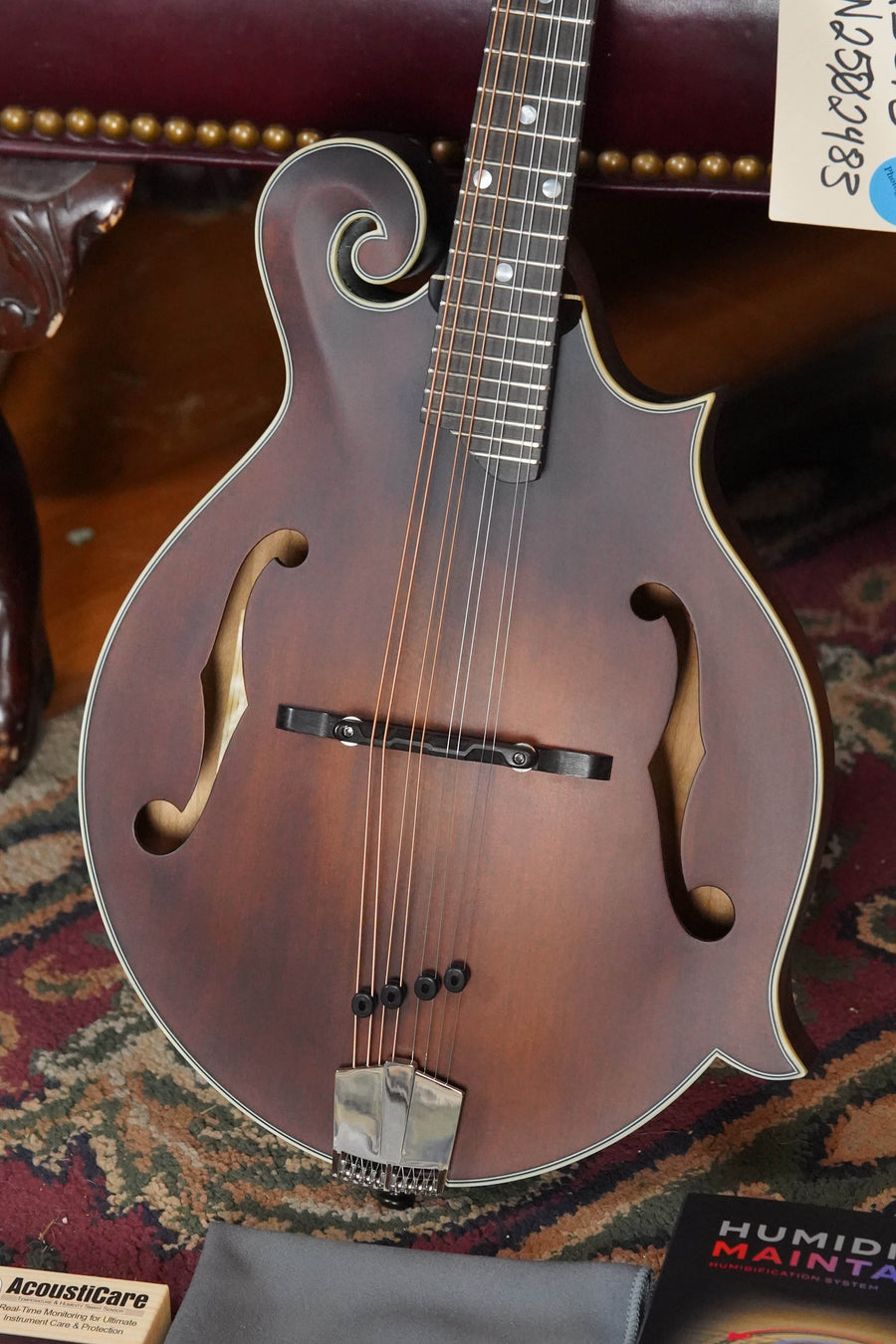 A close-up of the Eastman Guitars MD315 F-Style Hand-Carved Mandolin #2483, featuring elegant curves, f-holes, and silver tuning pegs on a patterned rug beside care accessories, showcases its professional-quality tone.
