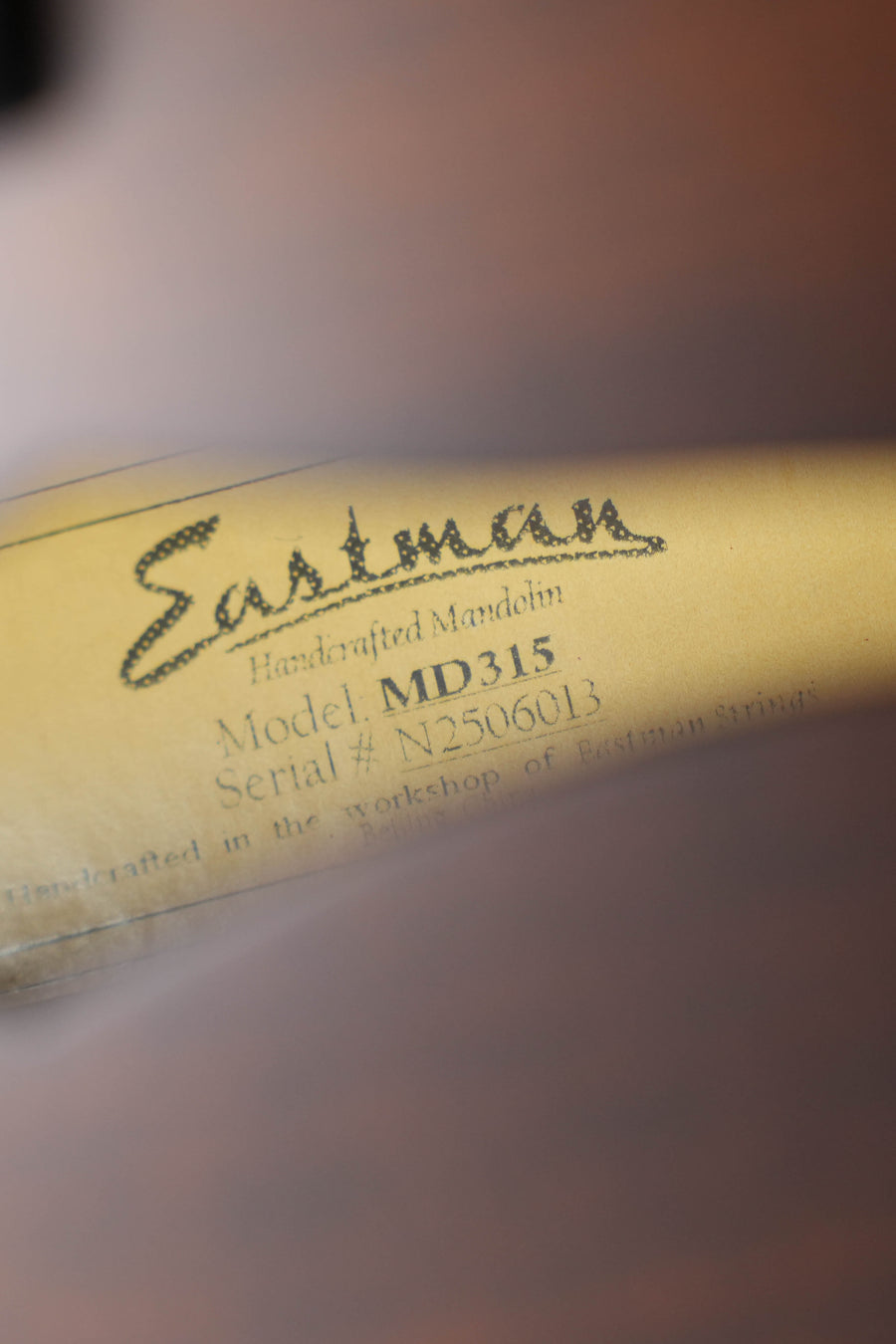 Eastman MD315 F-Style Hand-Carved Mandolin #6013