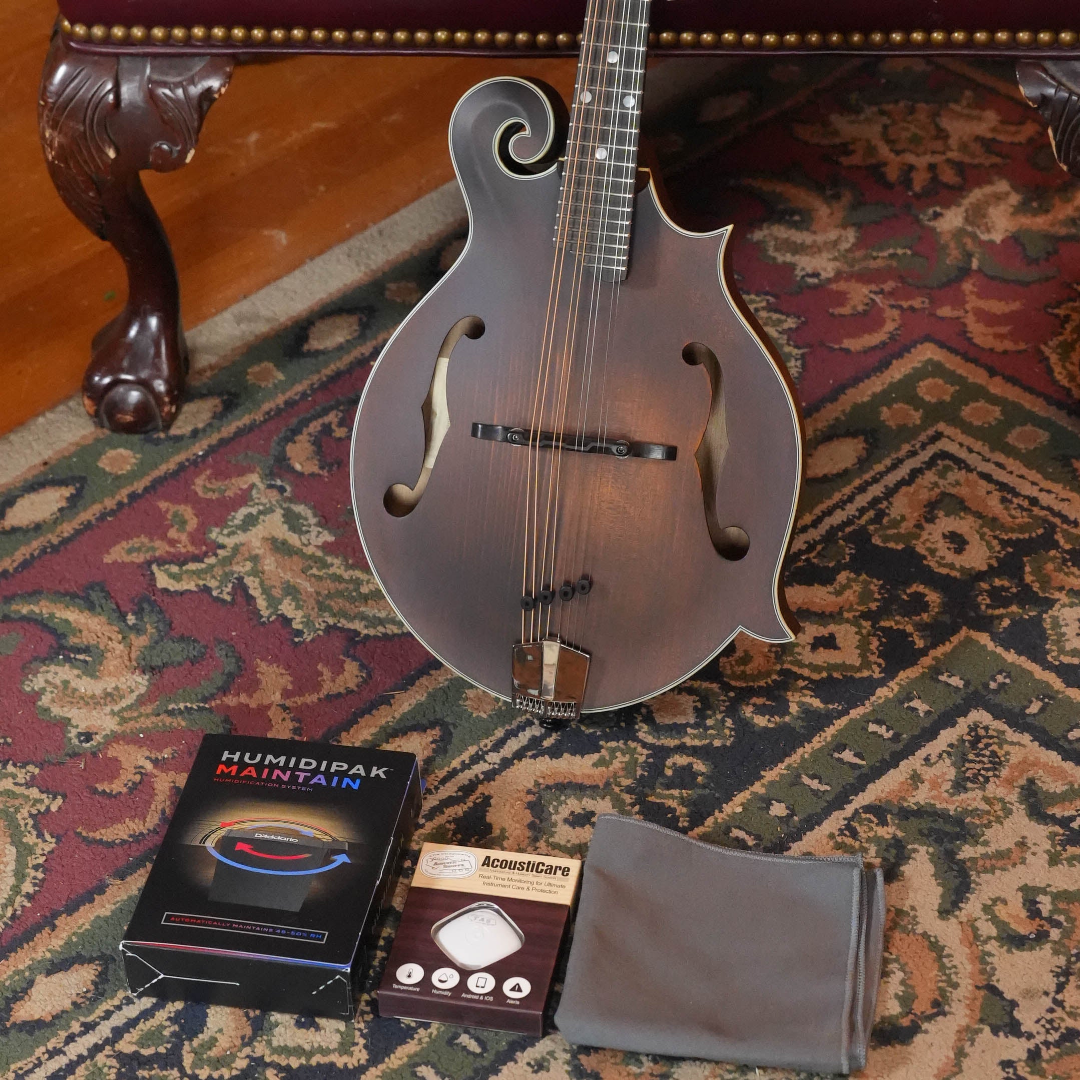 Eastman MD315 Spruce/Maple F-Style Hand-Carved Mandolin #5783
