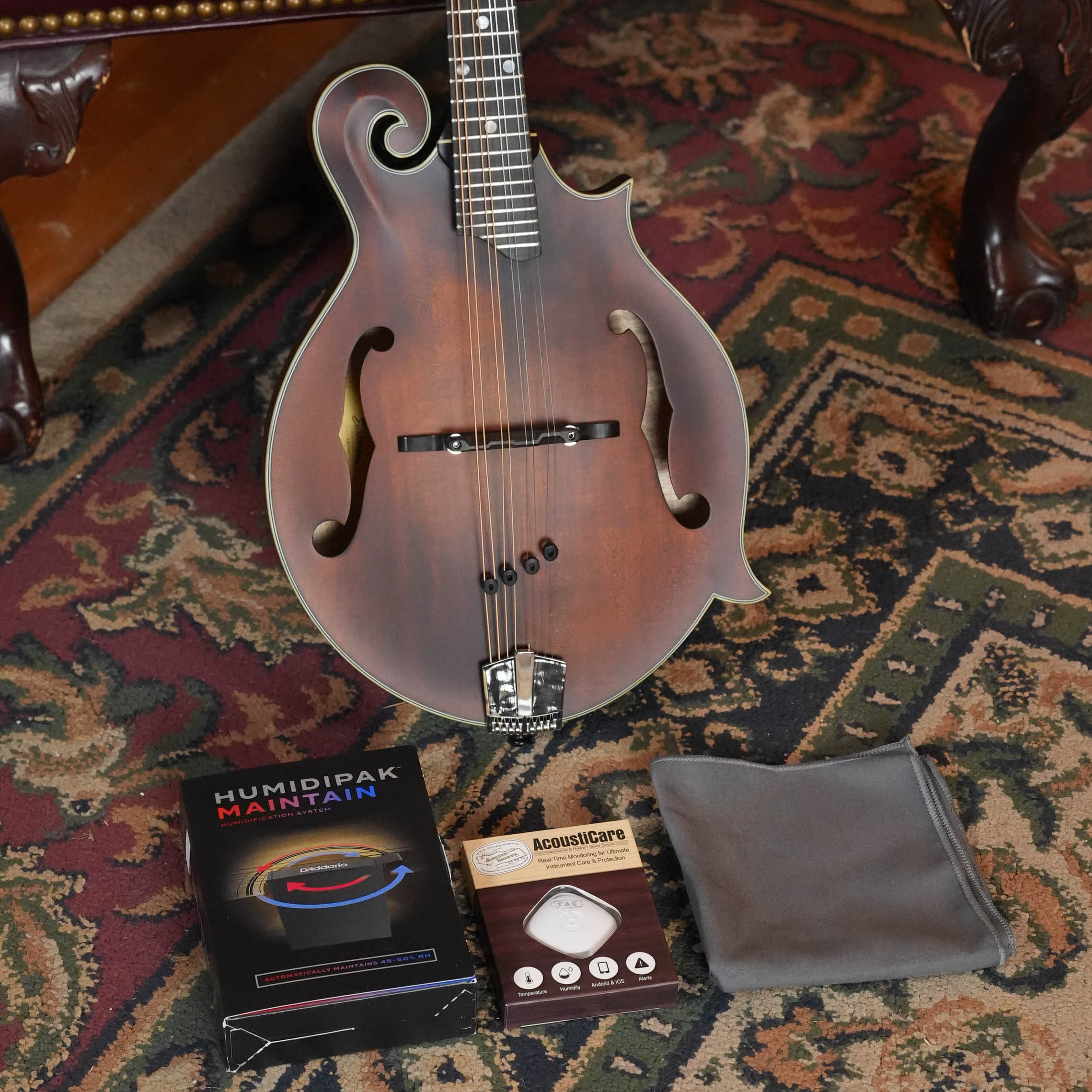 Eastman MD315 Spruce/Maple F-Style Hand-Carved Mandolin #5784