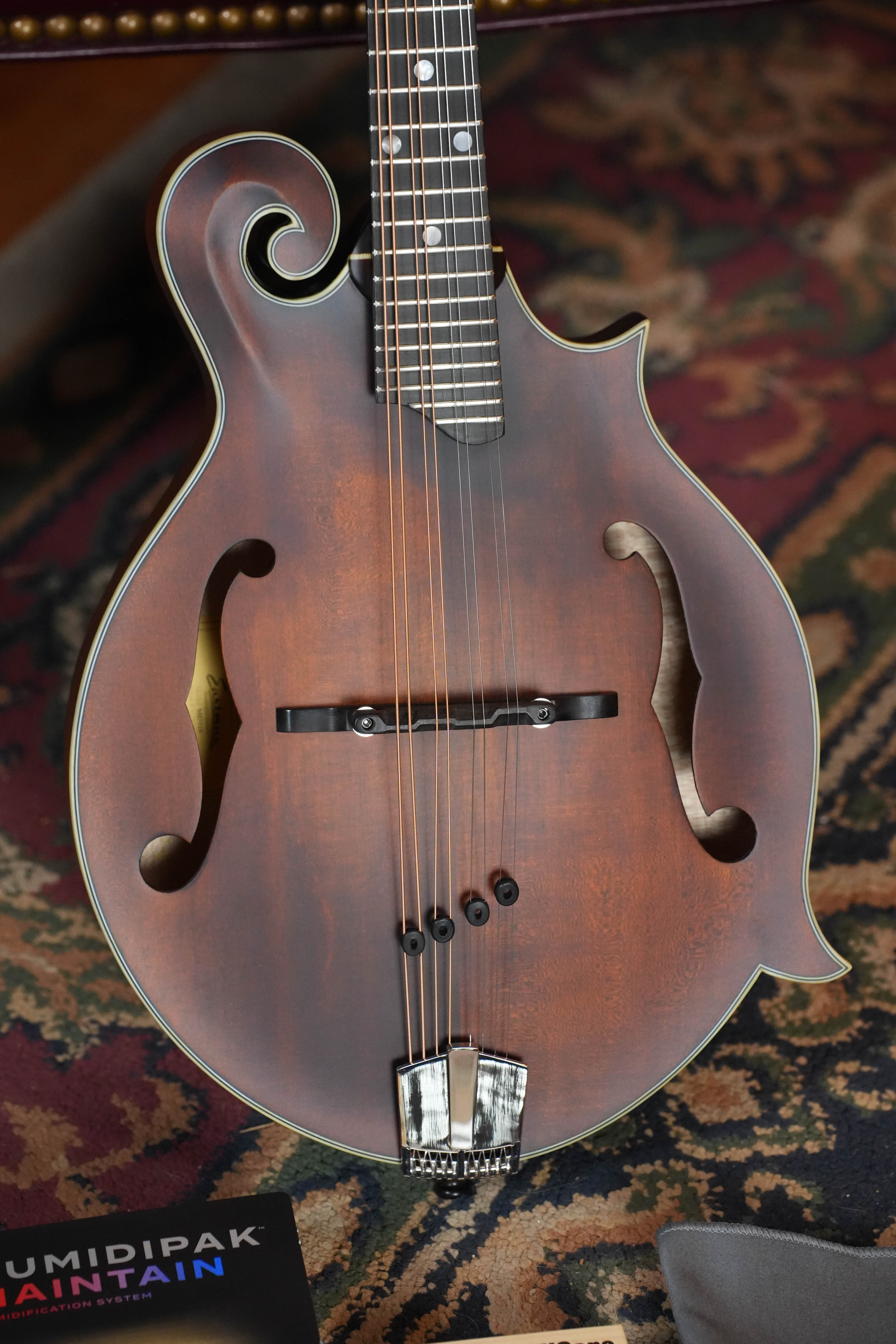 Eastman MD315 Spruce/Maple F-Style Hand-Carved Mandolin #5784