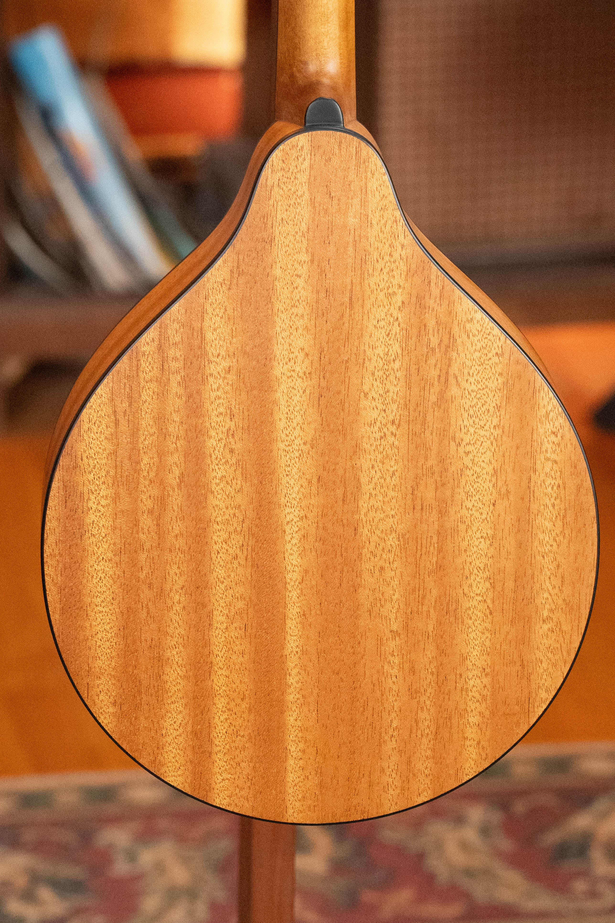 Eastman PCH-M104-GB Solid Spruce/Laminated Mahogany Goldburst Flattop A-Style Mandolin #0053