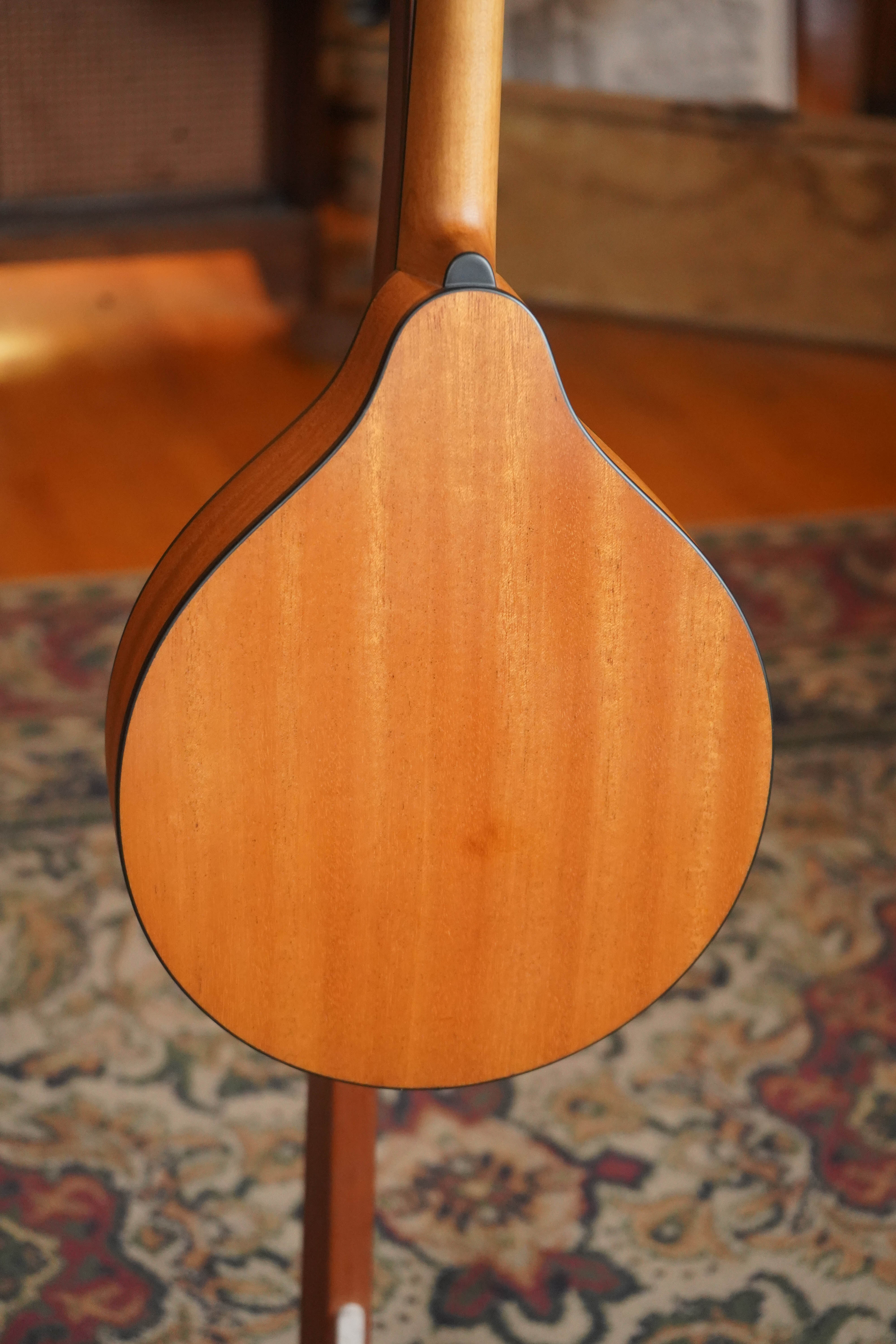 Eastman PCH-M104-NAT Solid Spruce/Laminated Mahogany Natural Flattop A-Style Mandolin #1187