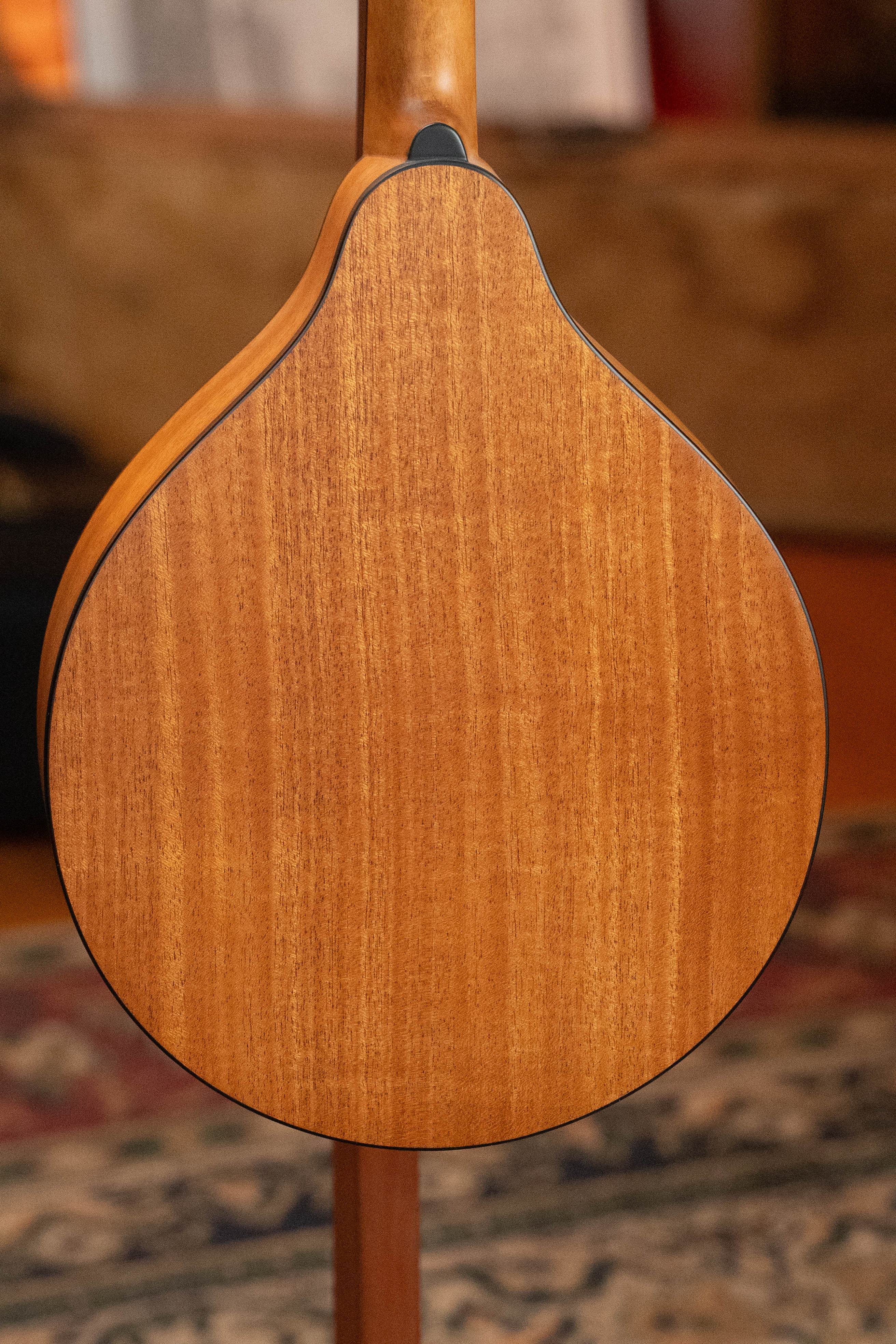Eastman PCH-M104-NAT Solid Spruce/Laminated Mahogany Natural Flattop A-Style Mandolin #1239