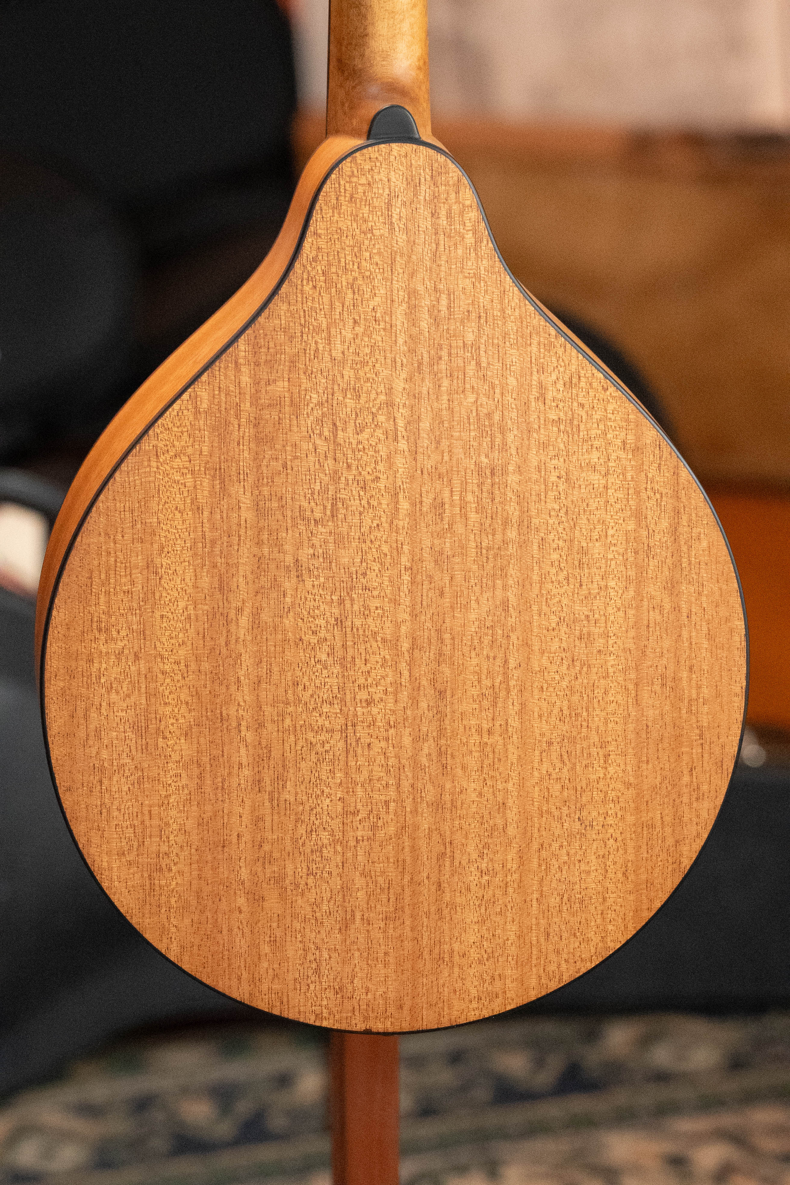 Eastman PCH-M104 Solid Spruce/Laminated Mahogany Flattop A-Style Mandolin #1519