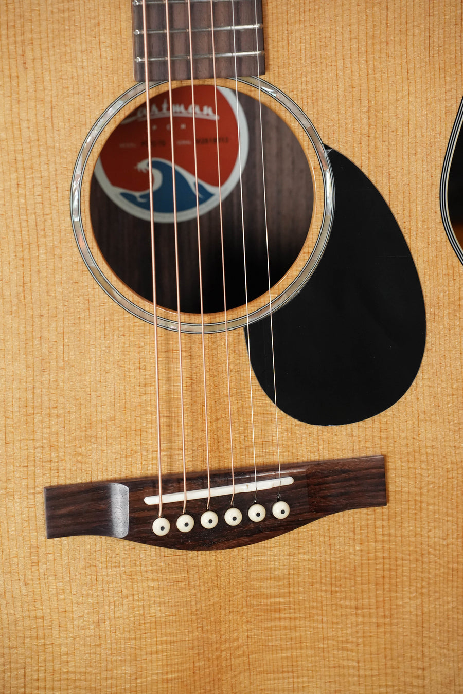 Close-up of the Eastman Guitars PCH2-TG Travel Acoustic (#8013) shows shimmering strings, labeled soundhole, black pickguard, and wooden bridge with six white pins—all crafted from solid Sitka spruce and laminated rosewood for beauty and durability.