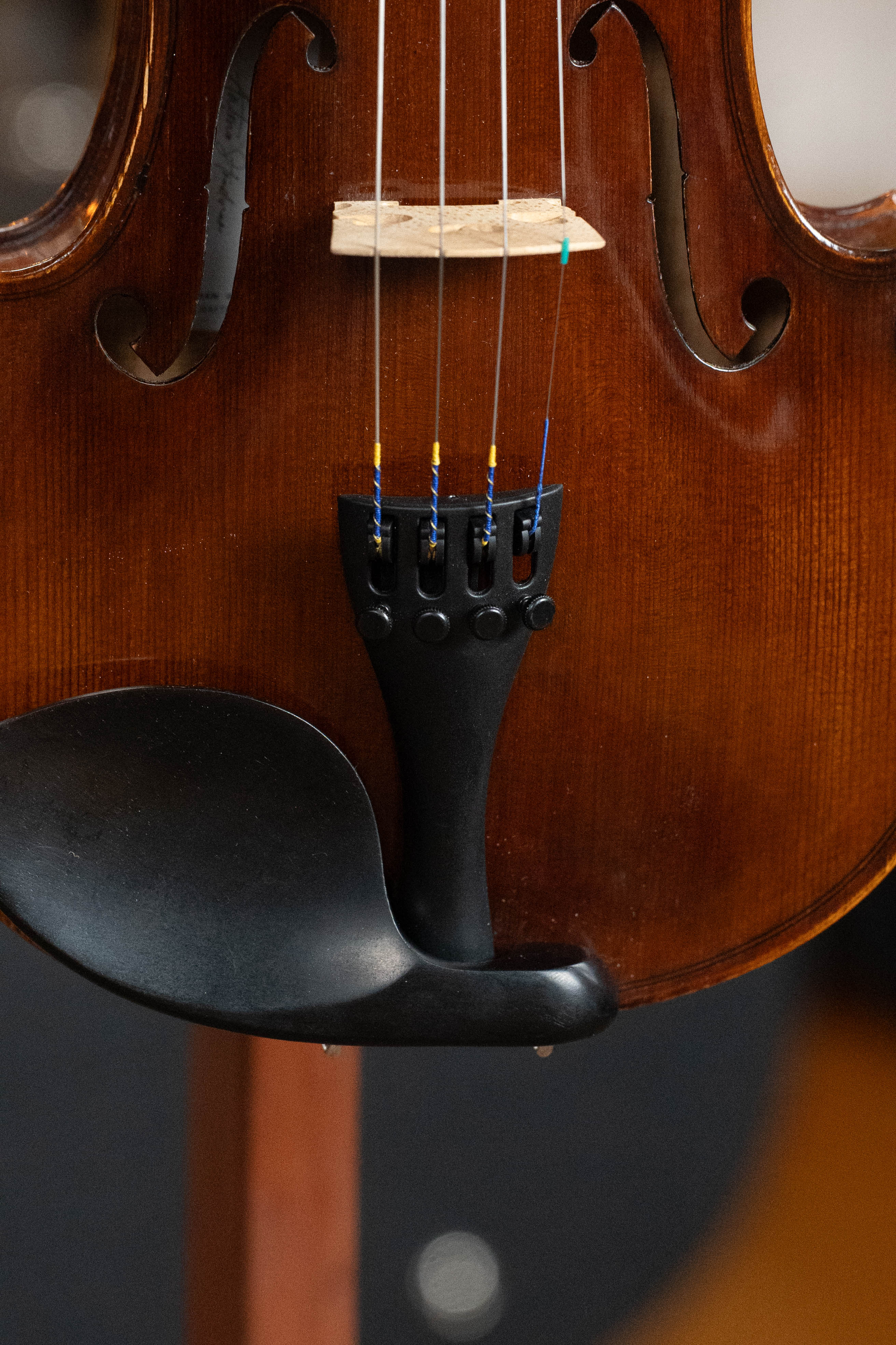 Eastman Spruce/Maple 4/4 Sized Andreas Eastman Stradivari Violin VLF2 Kit #3931