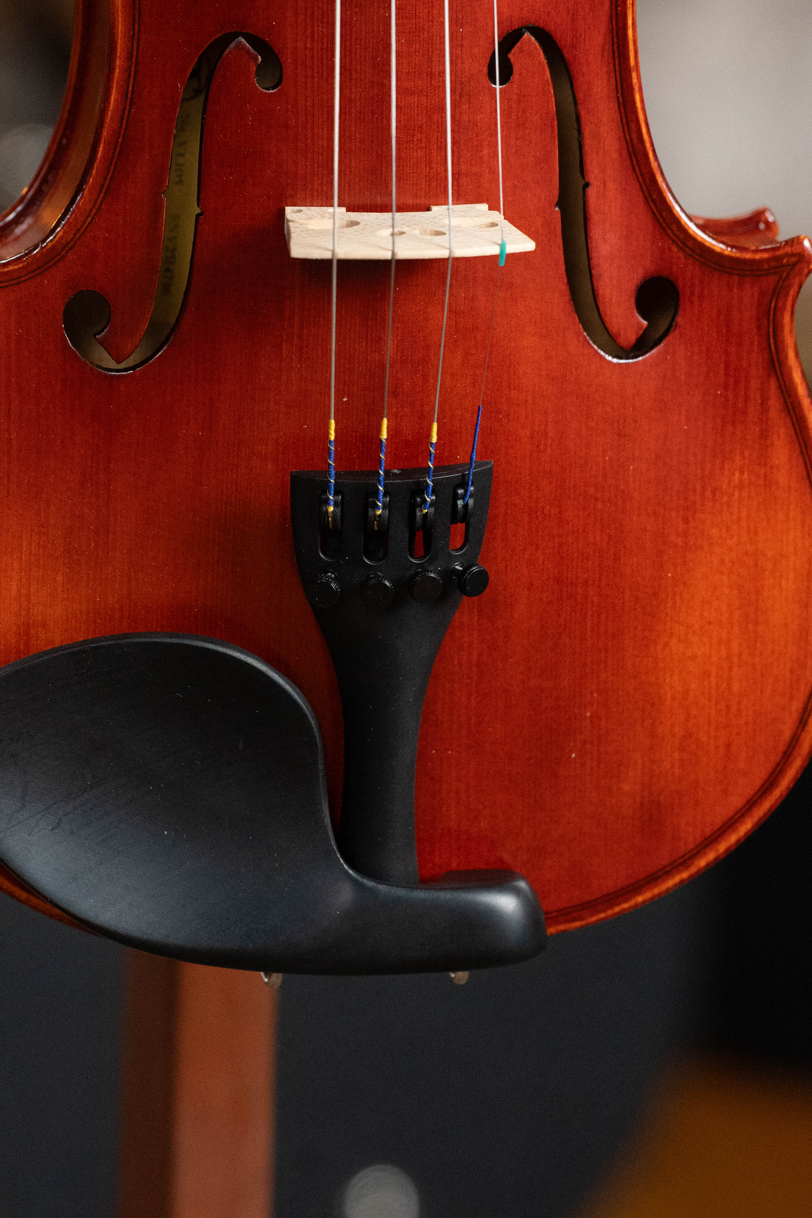 Eastman Spruce/Maple 4/4 Sized Stradivari Violin VLF1 Kit #4736