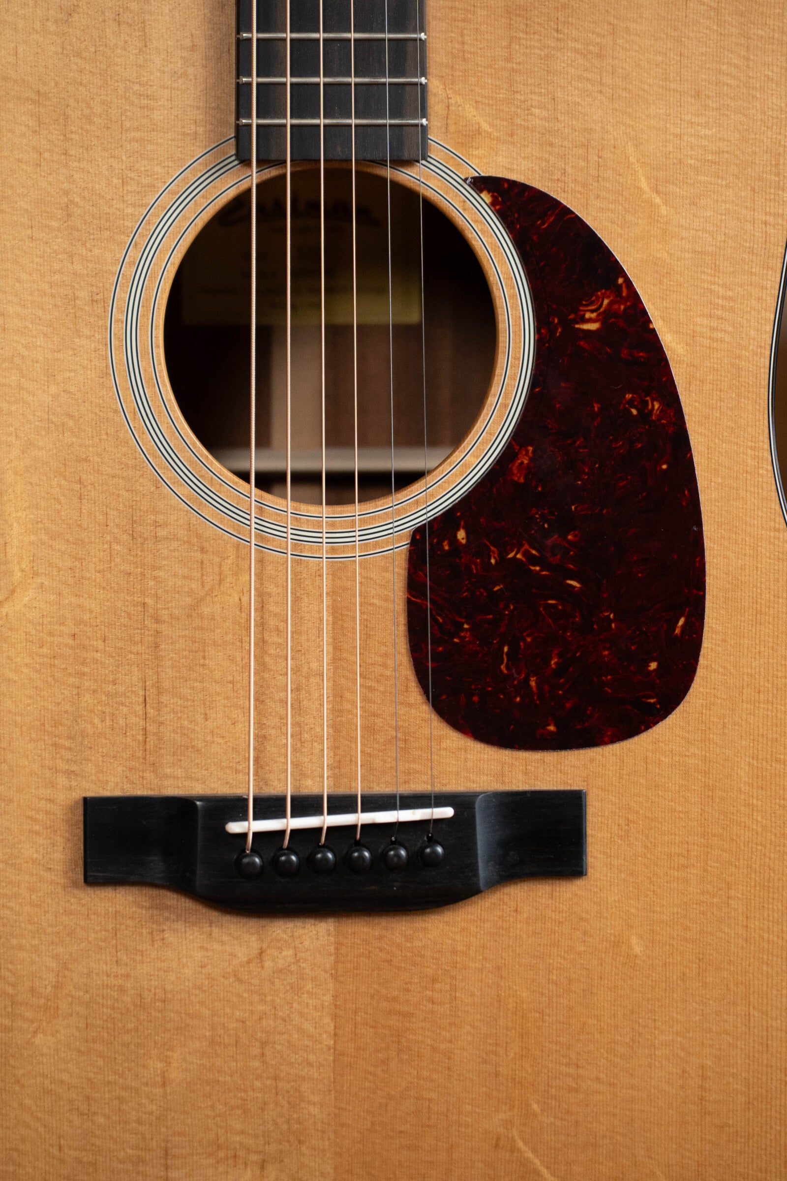 Eastman E1D Sitka/Sapele Dreadnought Acoustic Guitar #7342