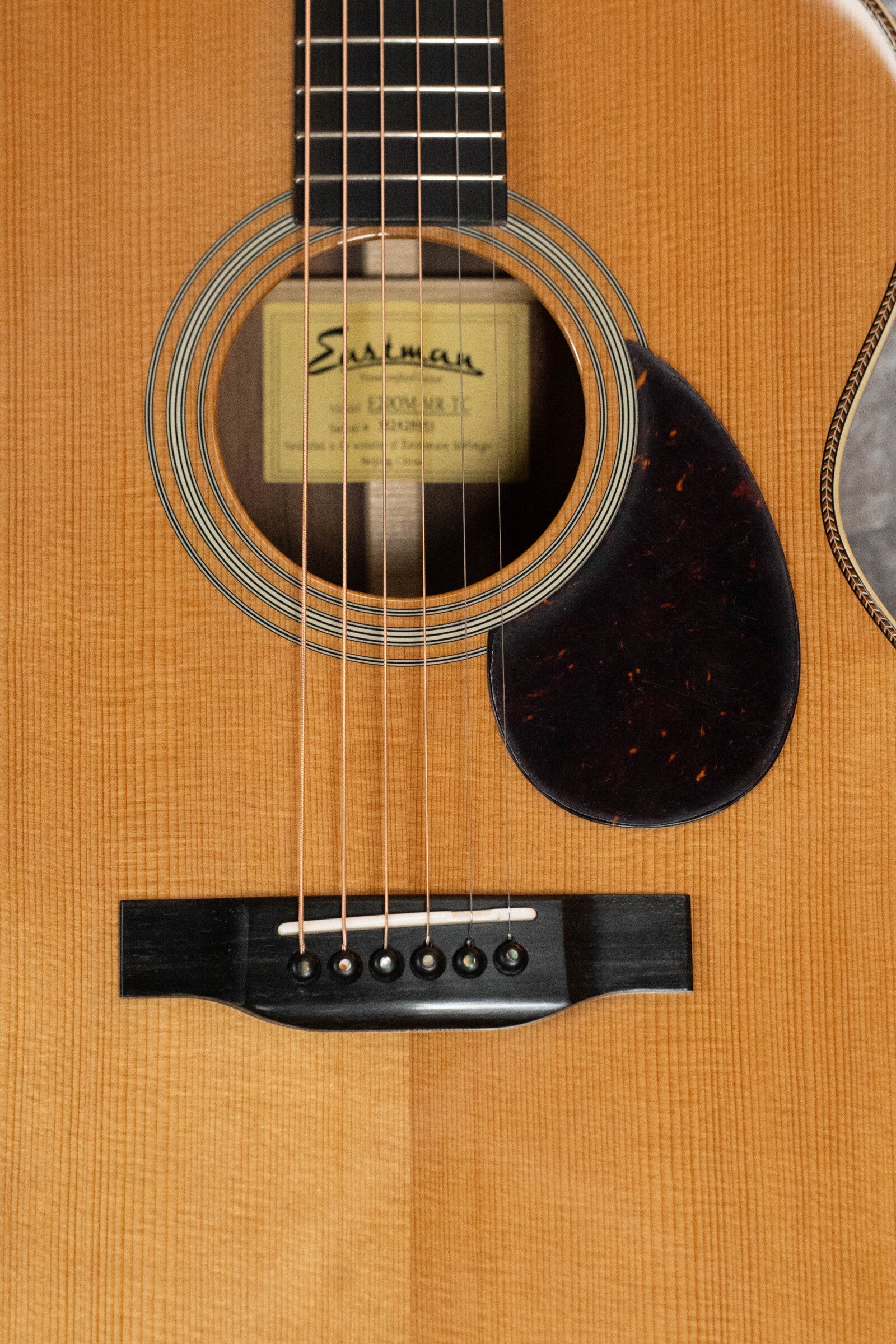 Eastman E20OM-MR-TC Thermo-cured Adirondack/Madagascar Rosewood Acoustic Guitar #8953