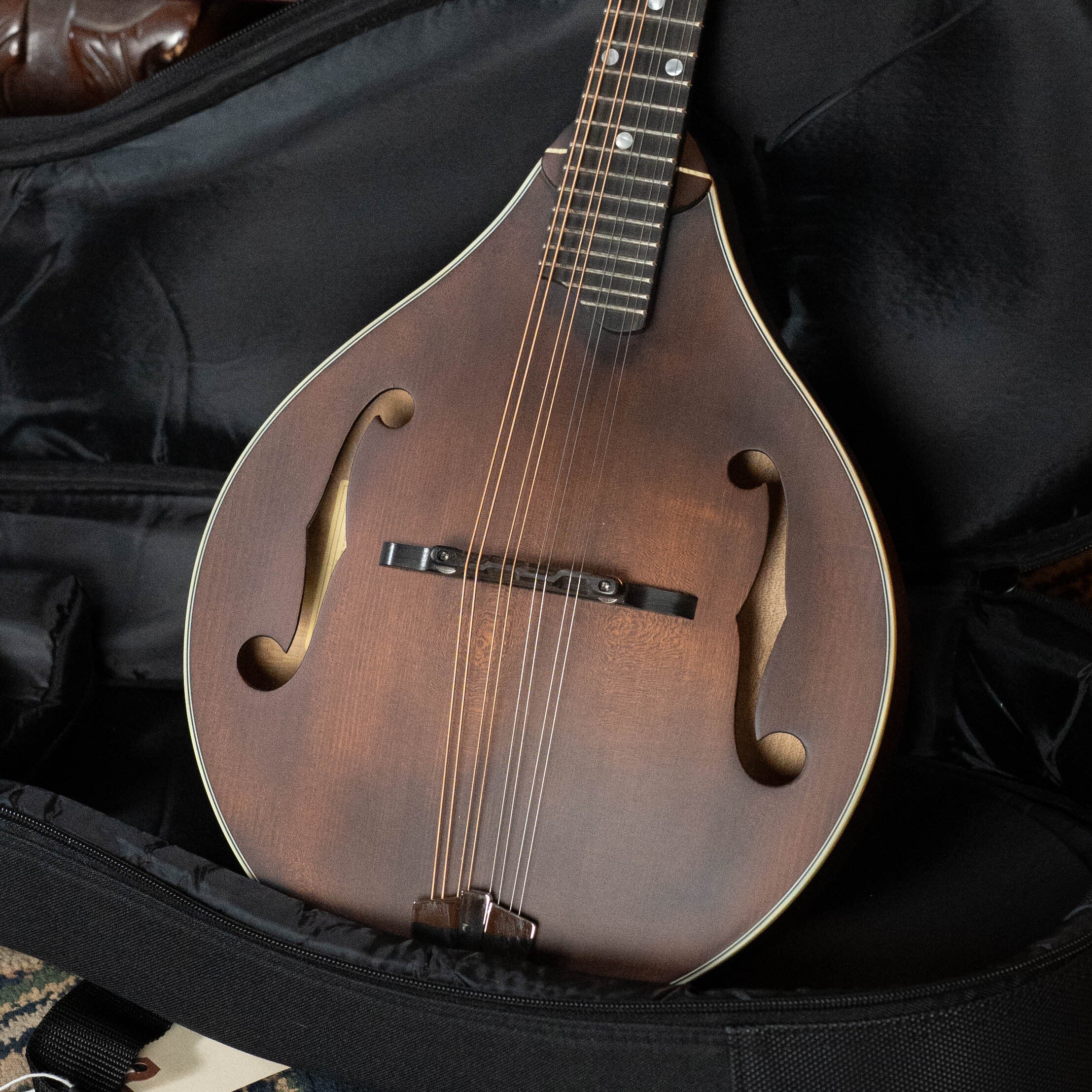 Eastman MD305 Spruce/Maple A-Style Hand-Carved Mandolin #3604