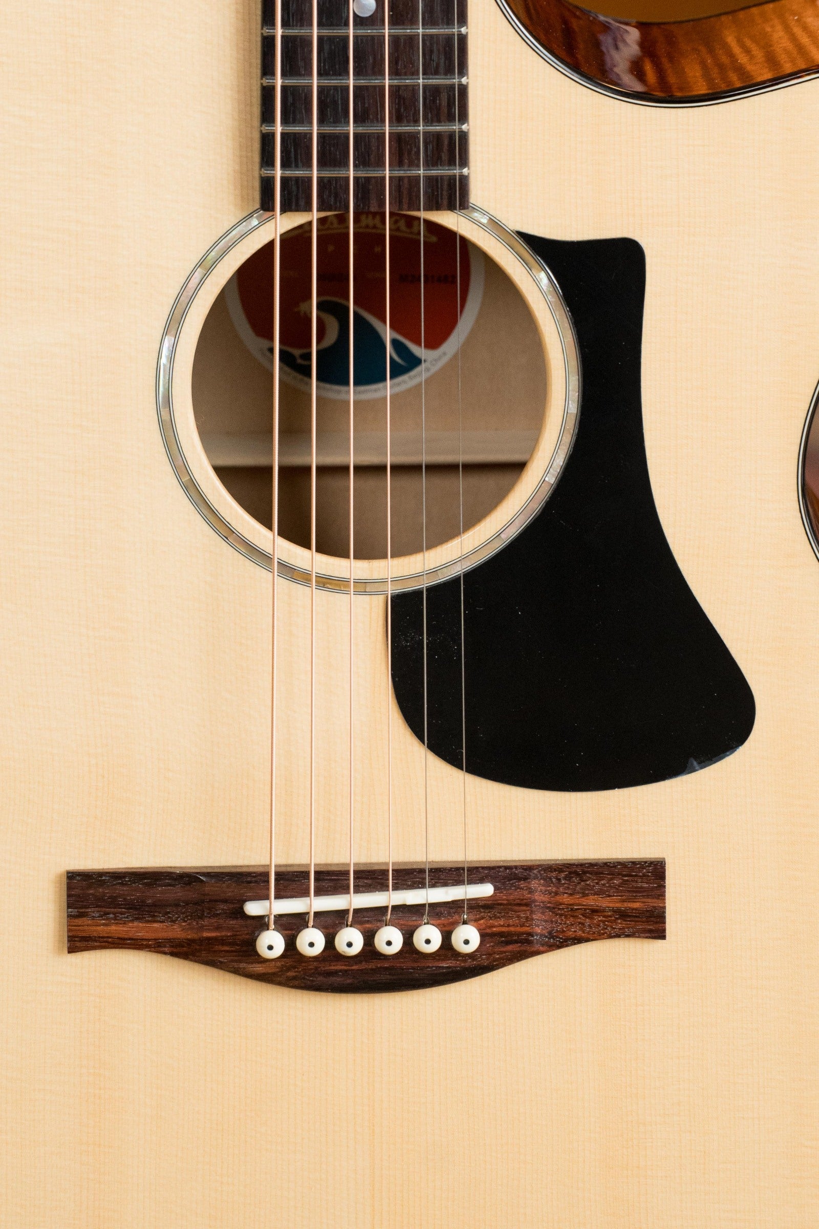 Eastman PCH3-GACE-CLA Sitka/Laminated Maple Acoustic Guitar w/Fishman Pickup #1482