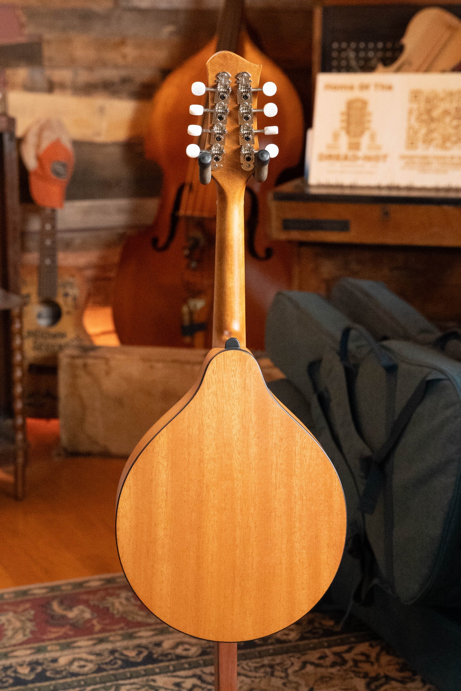 Eastman PCH-M104 Solid Spruce/Laminated Mahogany Flattop A-Style Mandolin #1541