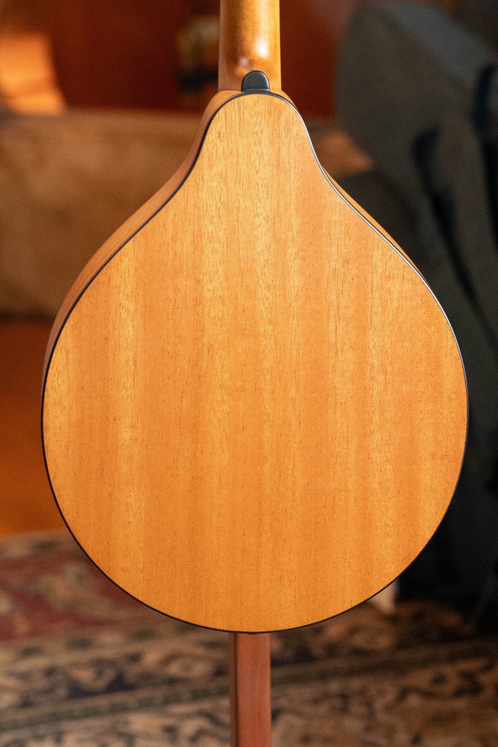 Eastman PCH-M104 Solid Spruce/Laminated Mahogany Flattop A-Style Mandolin #1541