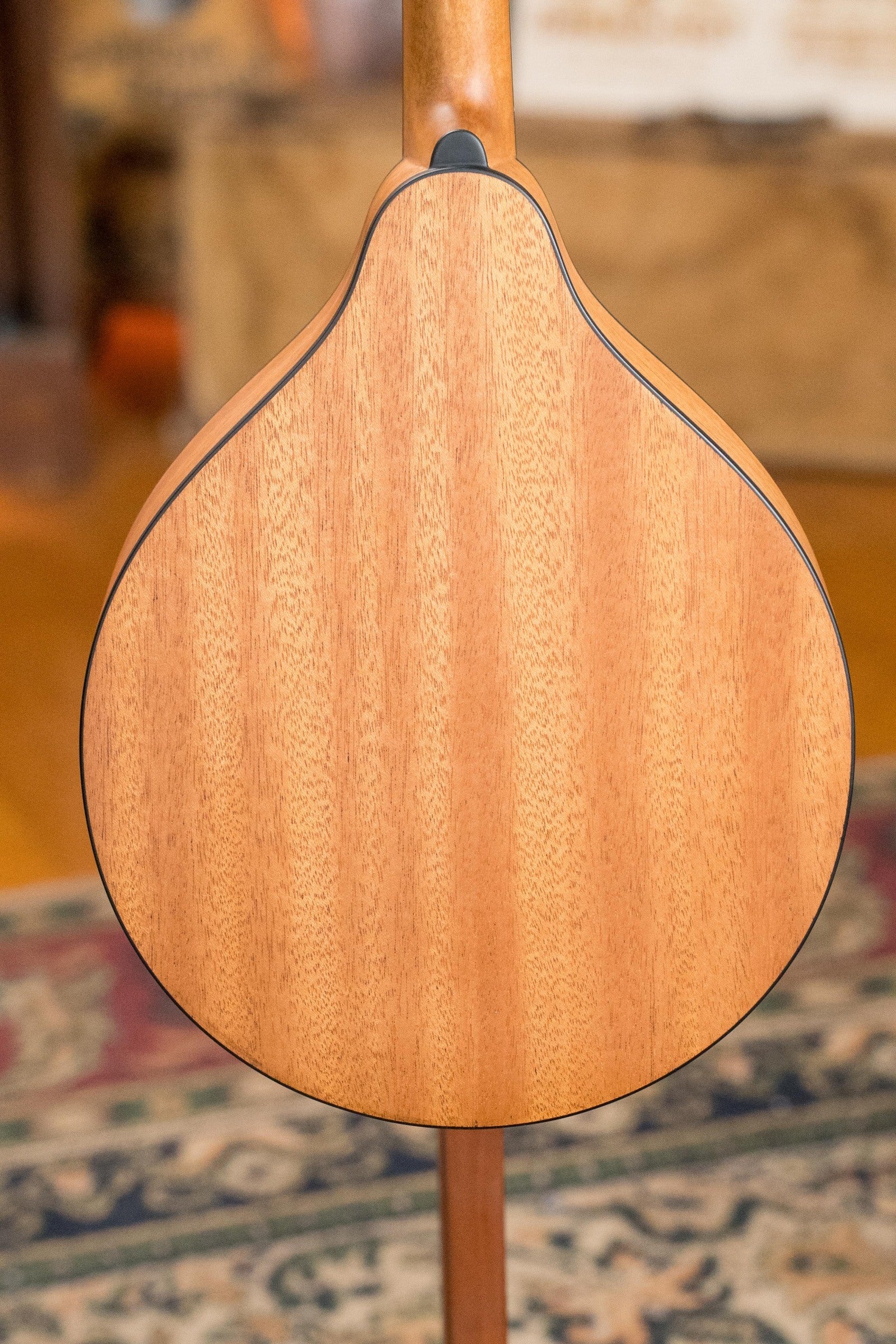 Eastman PCH-M104 Spruce/Laminated Mahogany Flattop A-Style Mandolin #1313