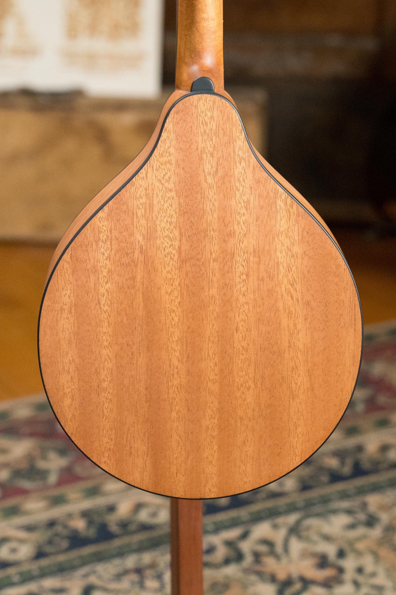 Eastman PCH-M104 Spruce/Laminated Mahogany Flattop A-Style Mandolin #1319