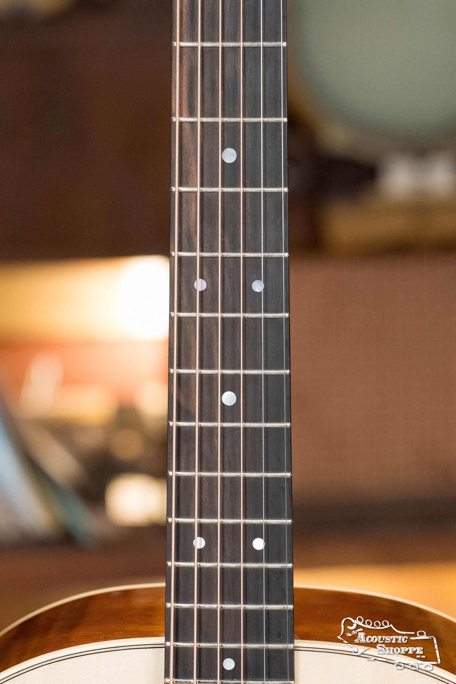 Gallagher SG-50 Adirondack/Sinker Mahogany Slope Shoulder Dreadnought Acoustic Guitar #4168